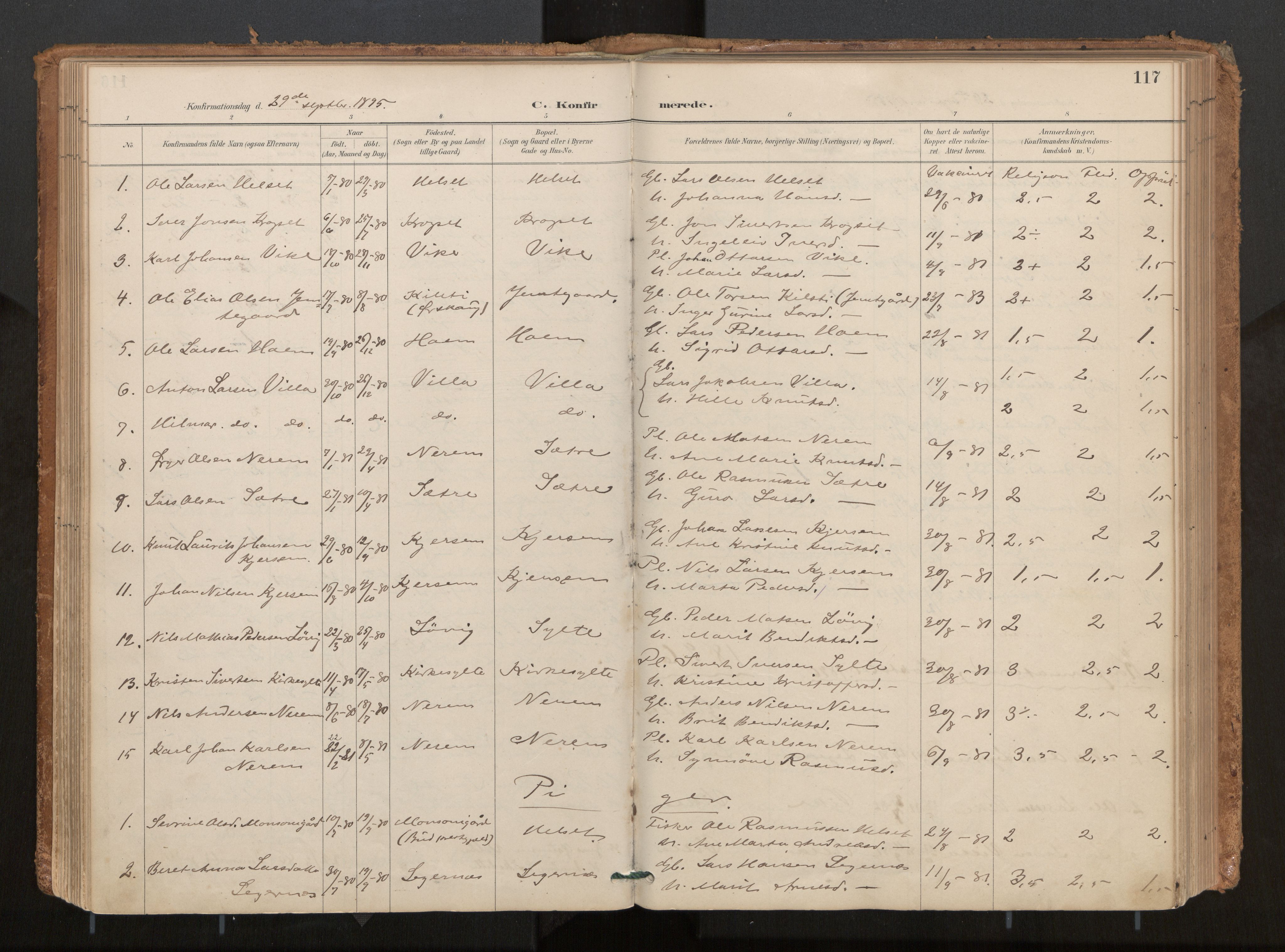 Ministerialprotokoller, klokkerbøker og fødselsregistre - Møre og Romsdal, SAT/A-1454/541/L0545a: Parish register (official) no. 541A03, 1887-1912, p. 117