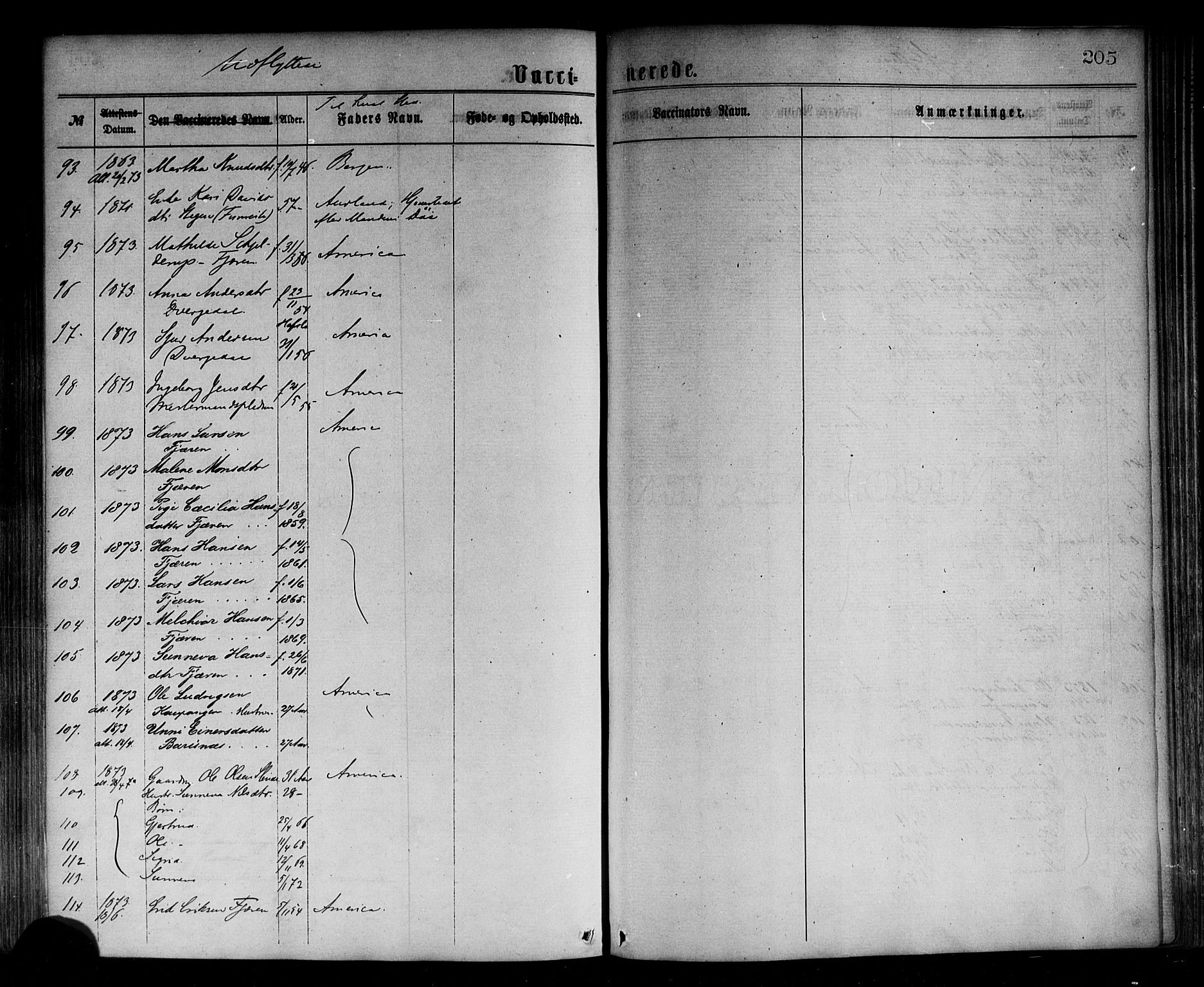Sogndal sokneprestembete, SAB/A-81301/H/Haa/Haaa/L0014: Parish register (official) no. A 14, 1864-1877, p. 205