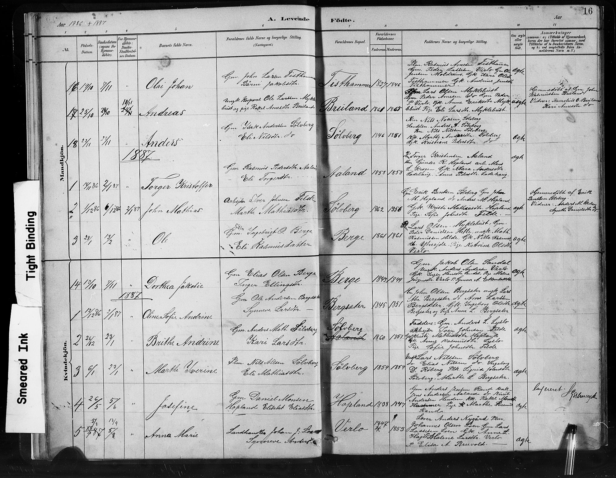 Innvik sokneprestembete, SAB/A-80501: Parish register (copy) no. C 3, 1883-1911, p. 16
