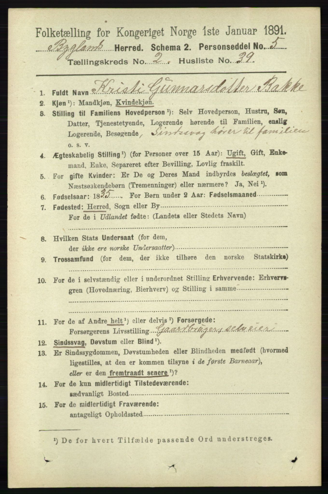 RA, 1891 census for 0938 Bygland, 1891, p. 519