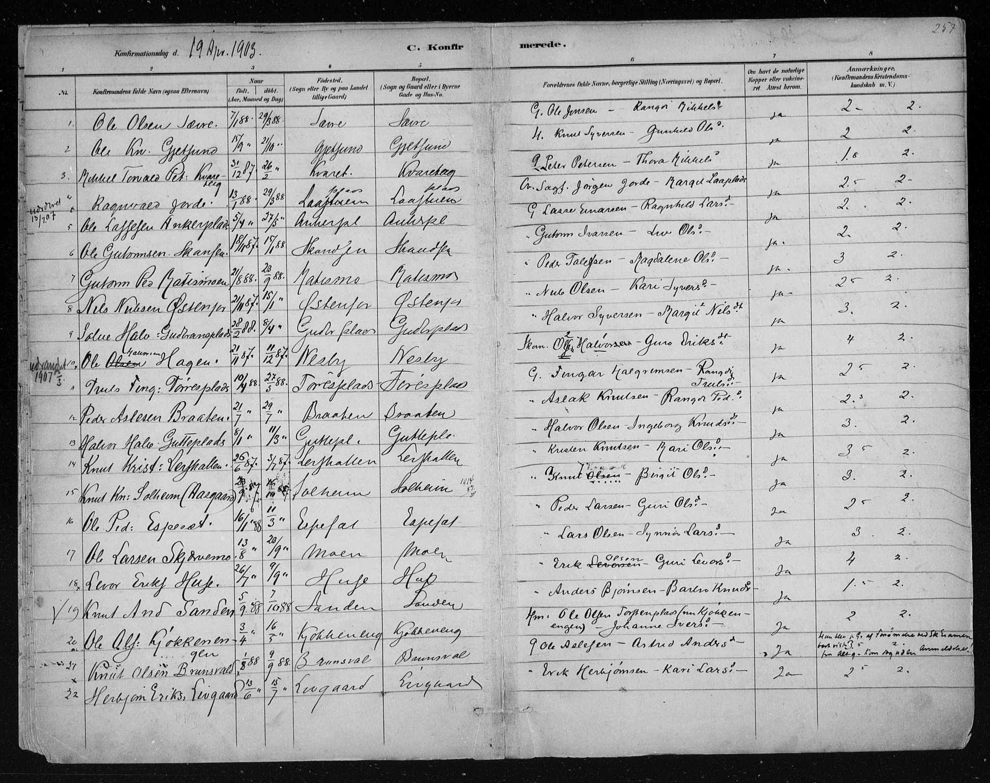 Nes kirkebøker, AV/SAKO-A-236/F/Fa/L0011: Parish register (official) no. 11, 1881-1912, p. 257