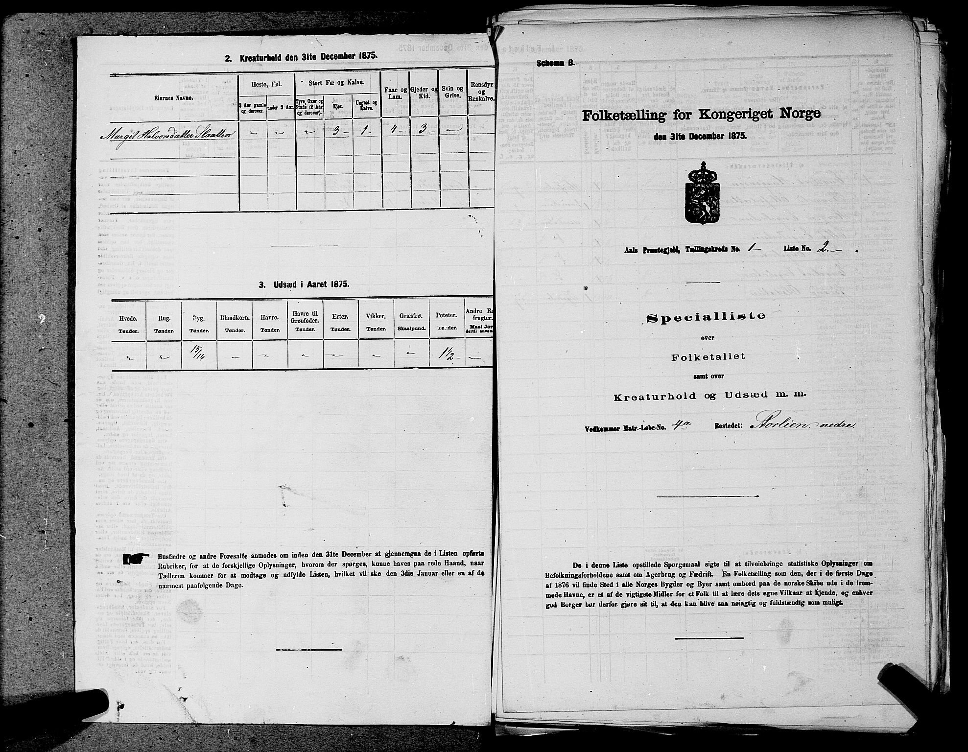 SAKO, 1875 census for 0619P Ål, 1875, p. 22