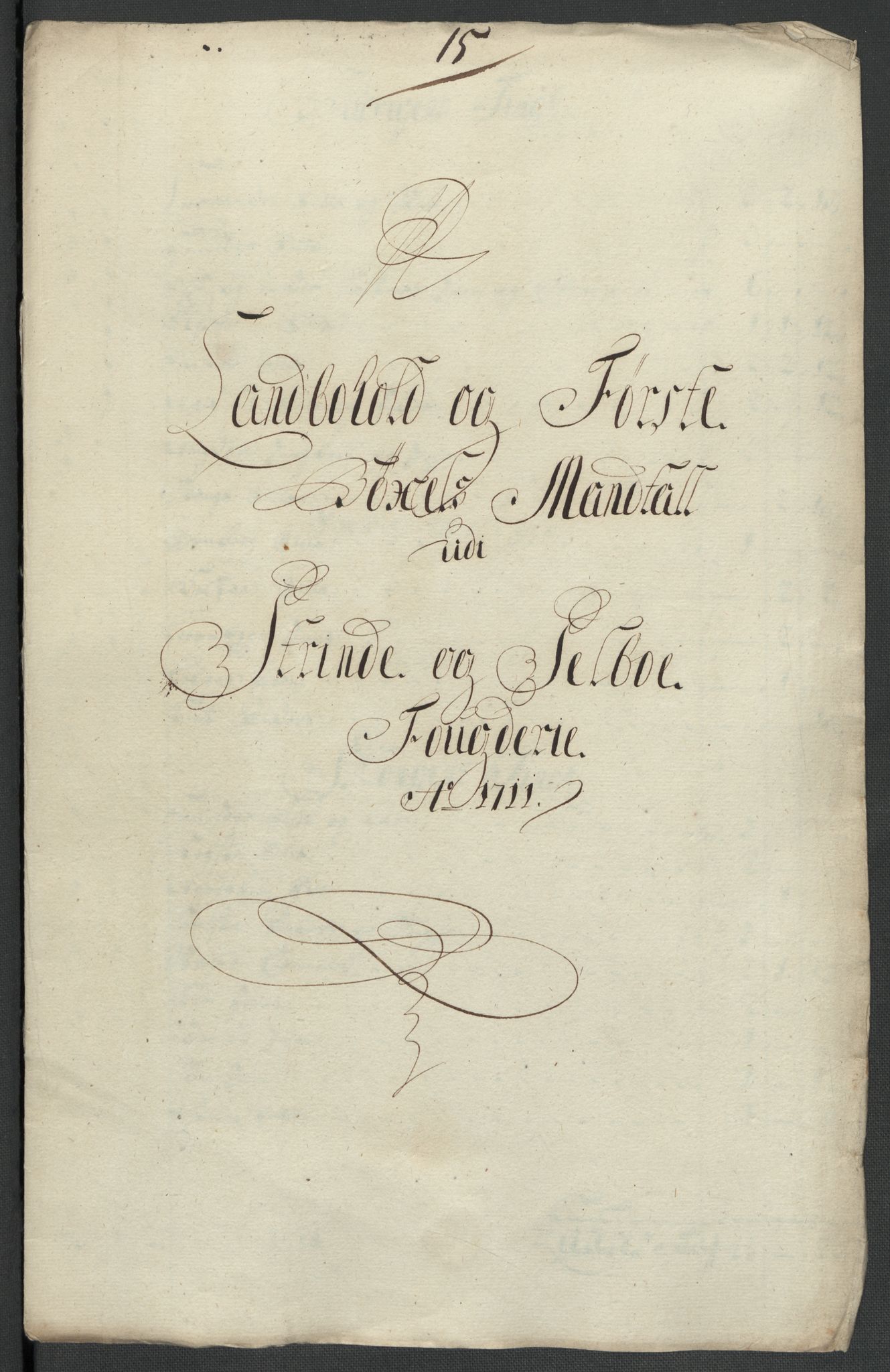 Rentekammeret inntil 1814, Reviderte regnskaper, Fogderegnskap, AV/RA-EA-4092/R61/L4112: Fogderegnskap Strinda og Selbu, 1711, p. 132