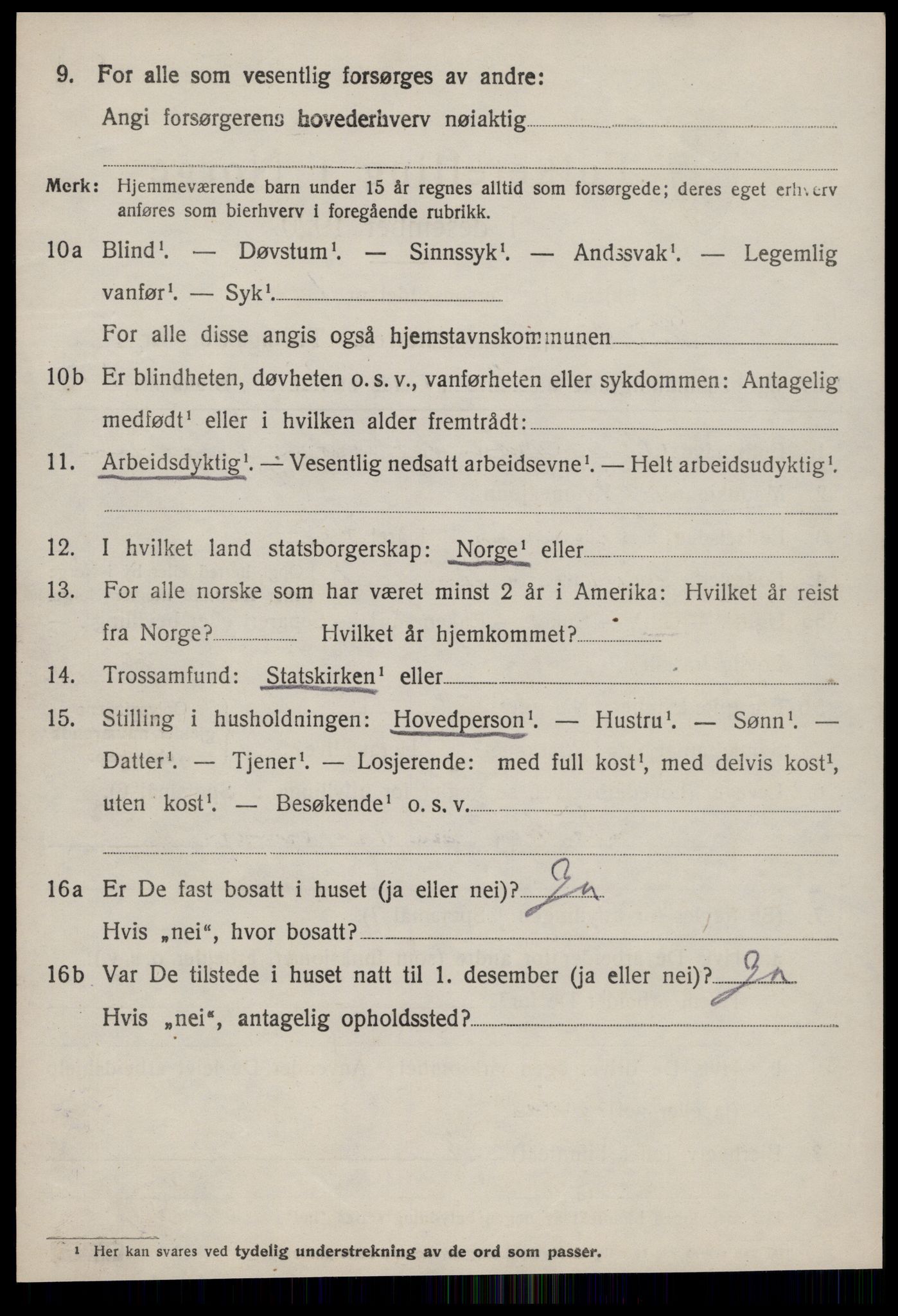 SAT, 1920 census for Hustad, 1920, p. 1556