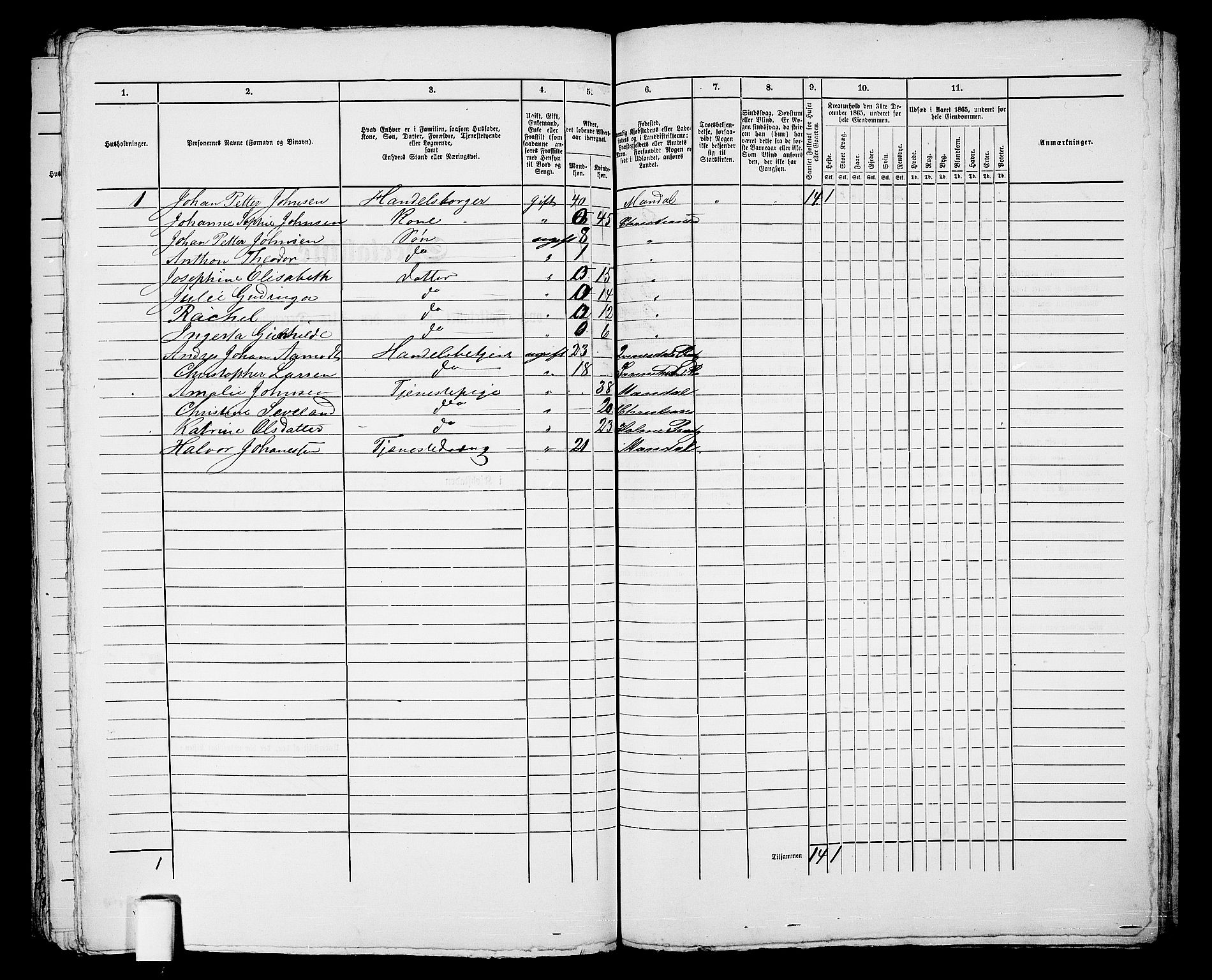 RA, 1865 census for Kristiansand, 1865, p. 495