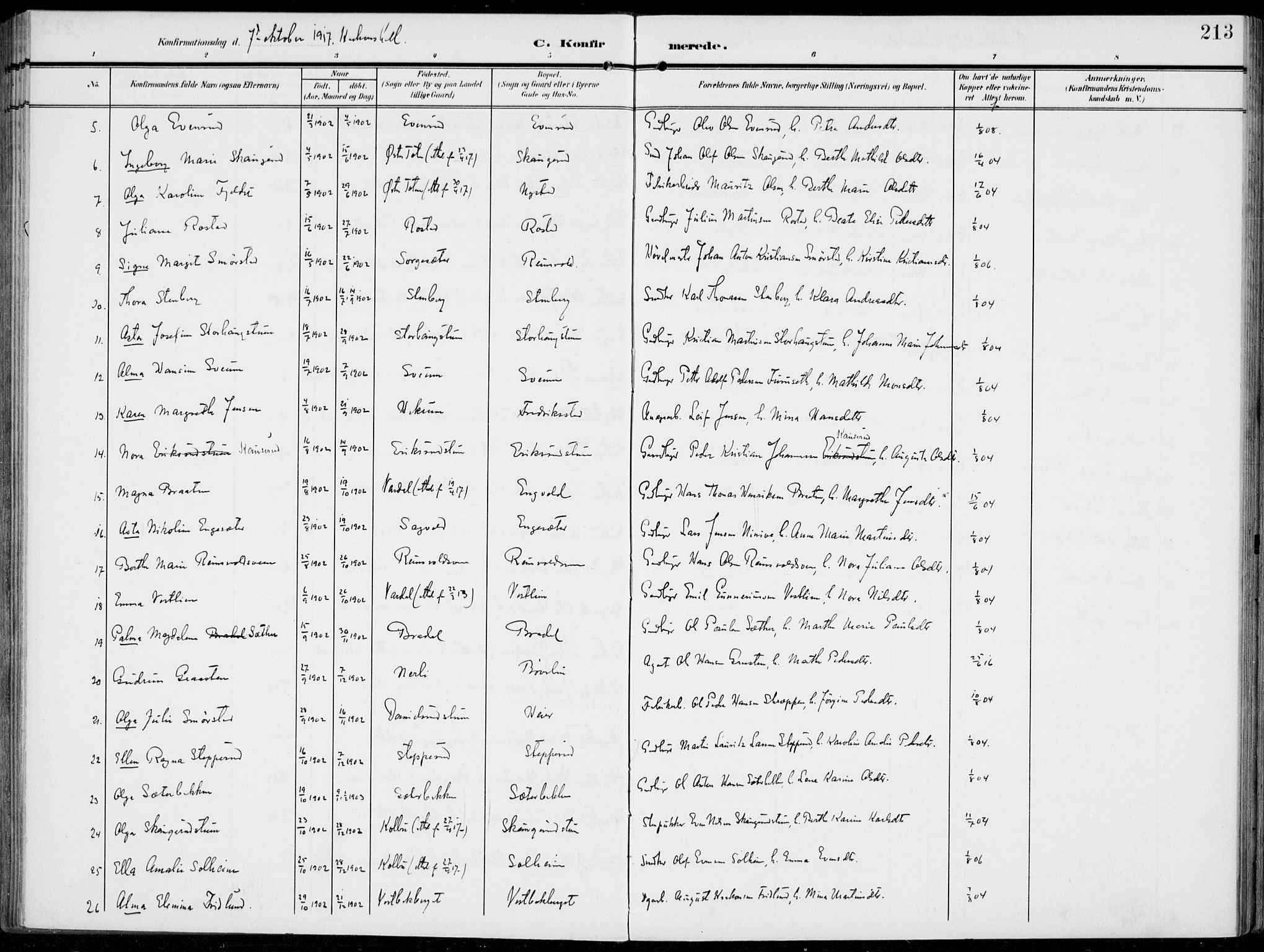 Vestre Toten prestekontor, AV/SAH-PREST-108/H/Ha/Haa/L0014: Parish register (official) no. 14, 1907-1920, p. 213