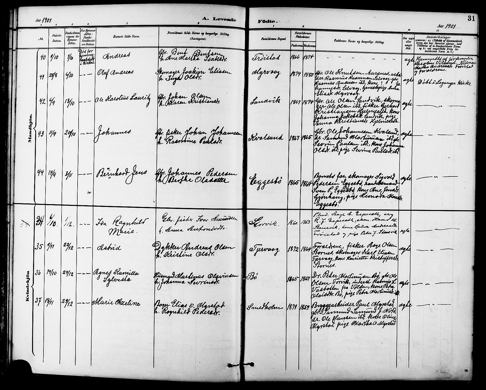 Ministerialprotokoller, klokkerbøker og fødselsregistre - Møre og Romsdal, SAT/A-1454/507/L0082: Parish register (copy) no. 507C05, 1896-1914, p. 31