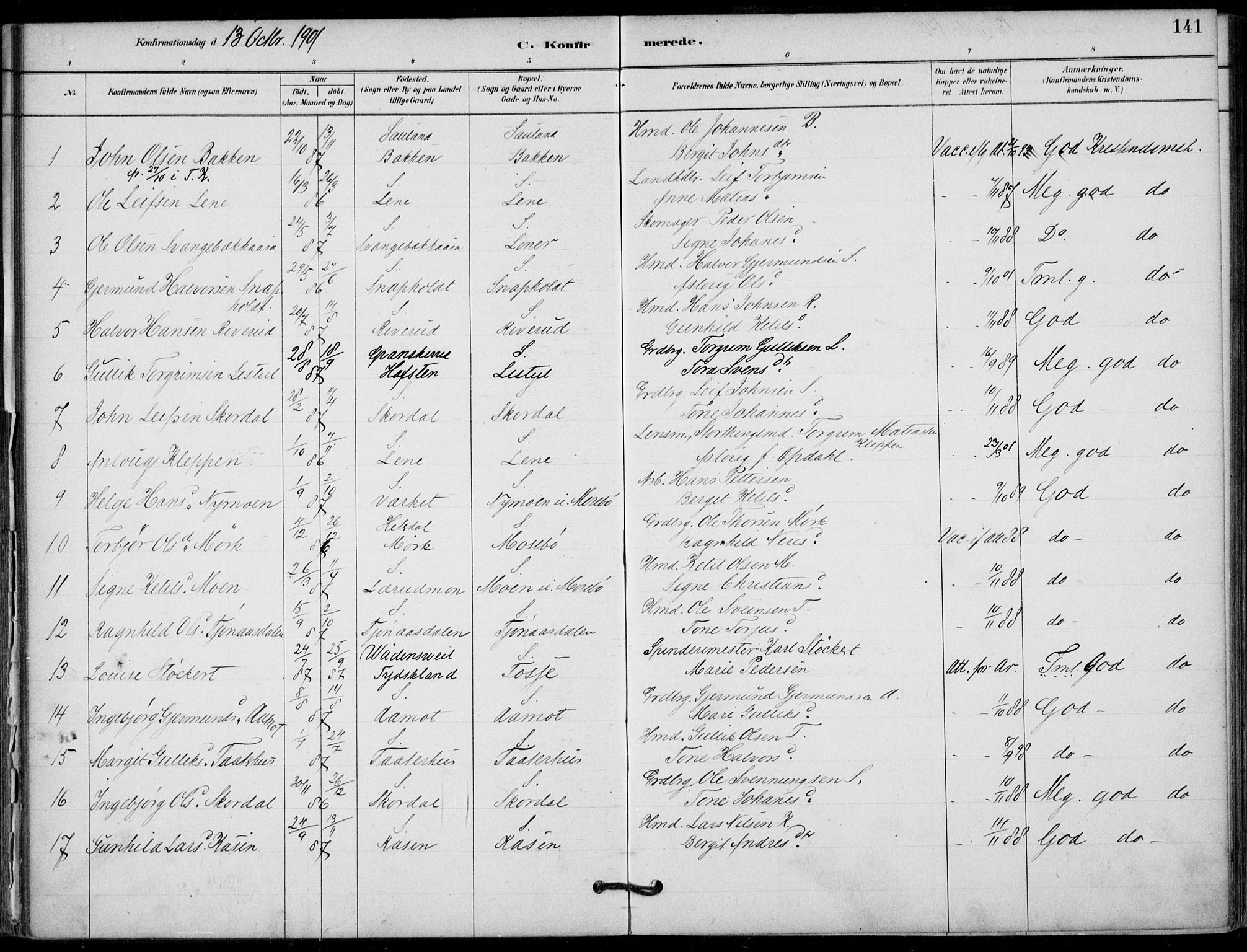 Hjartdal kirkebøker, AV/SAKO-A-270/F/Fb/L0002: Parish register (official) no. II 2, 1880-1932, p. 141