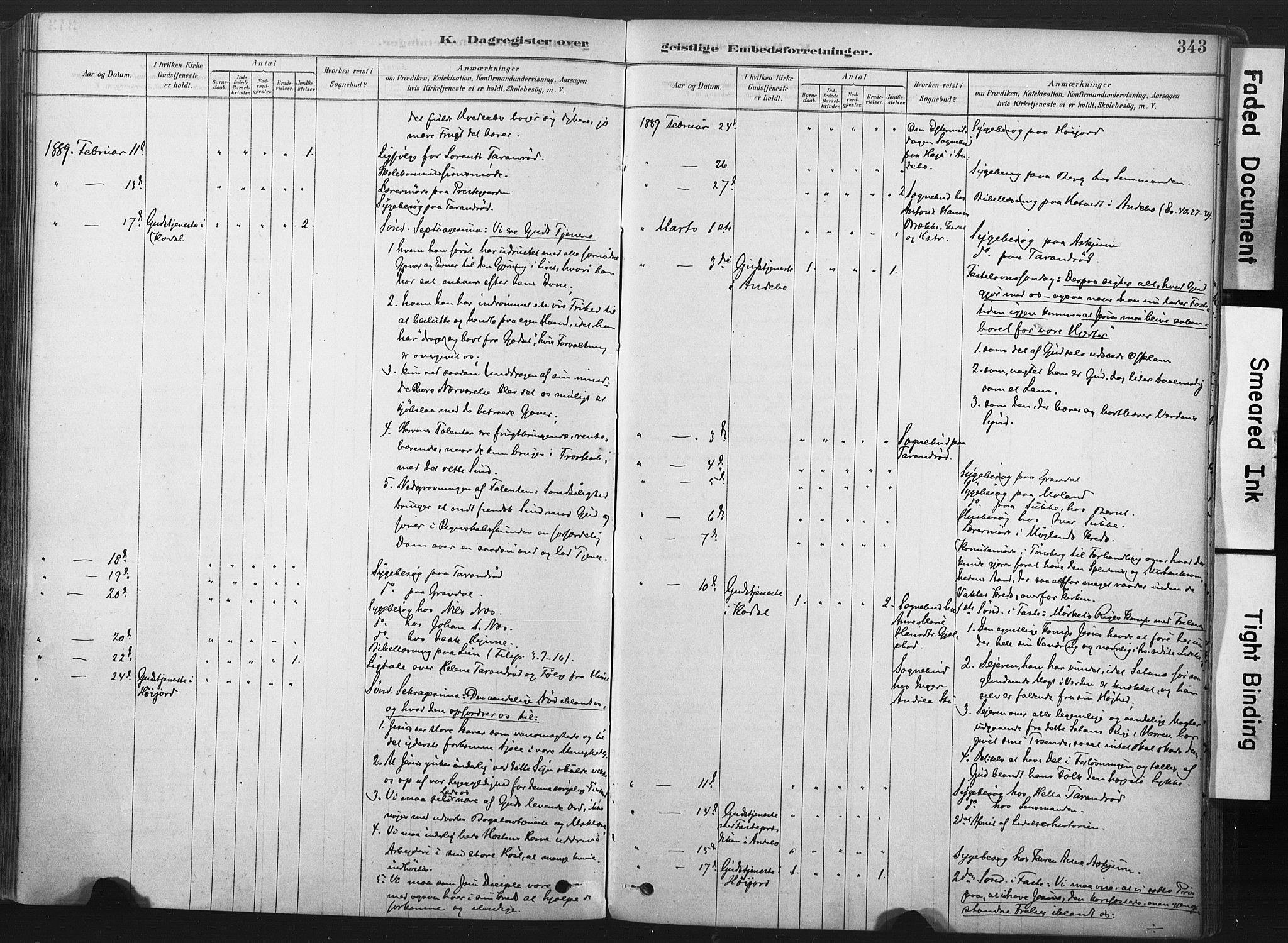 Andebu kirkebøker, AV/SAKO-A-336/F/Fa/L0007: Parish register (official) no. 7, 1878-1899, p. 343