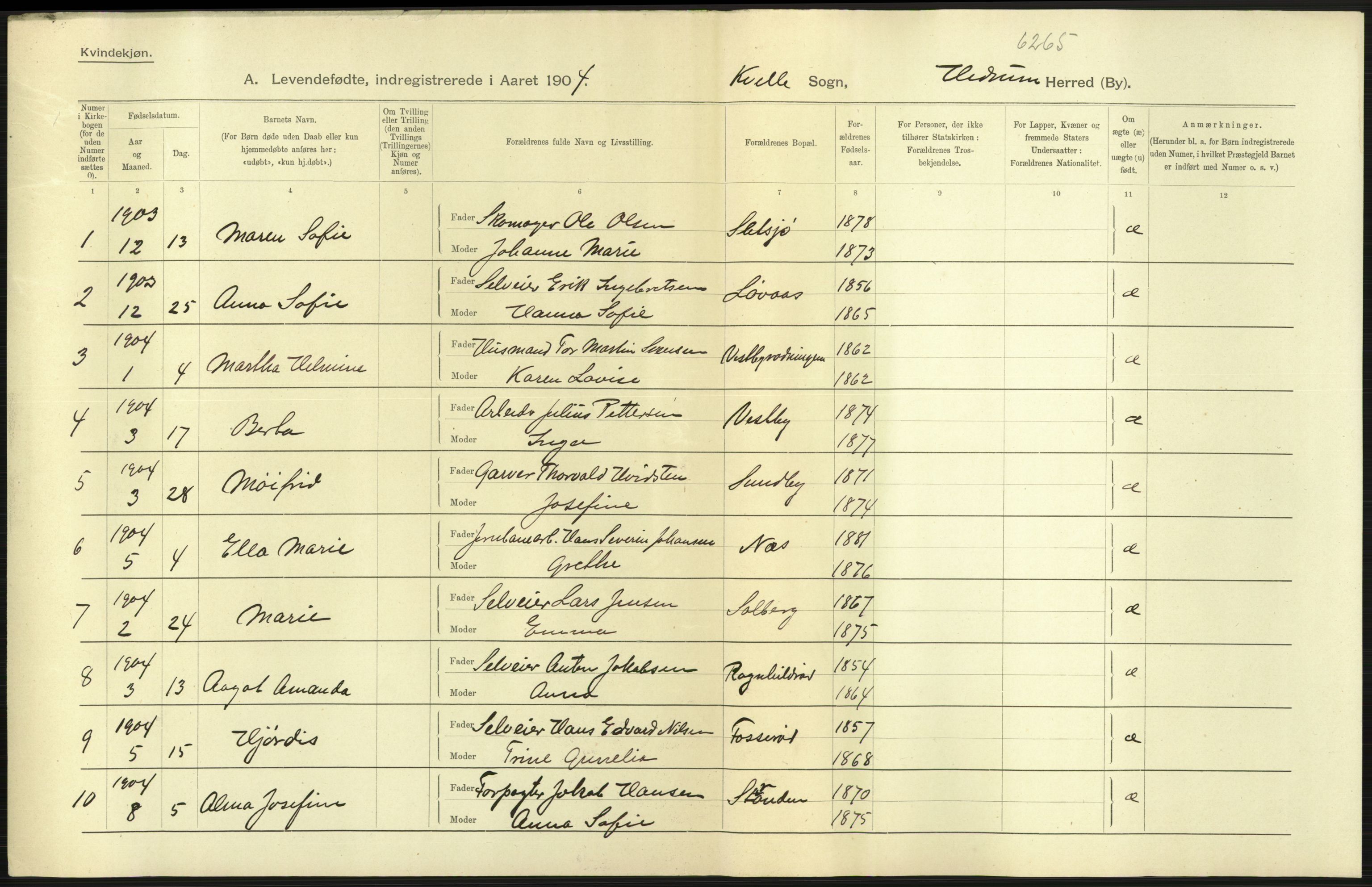 Statistisk sentralbyrå, Sosiodemografiske emner, Befolkning, RA/S-2228/D/Df/Dfa/Dfab/L0008: Jarlsberg og Larvig amt: Fødte, gifte, døde, 1904, p. 15