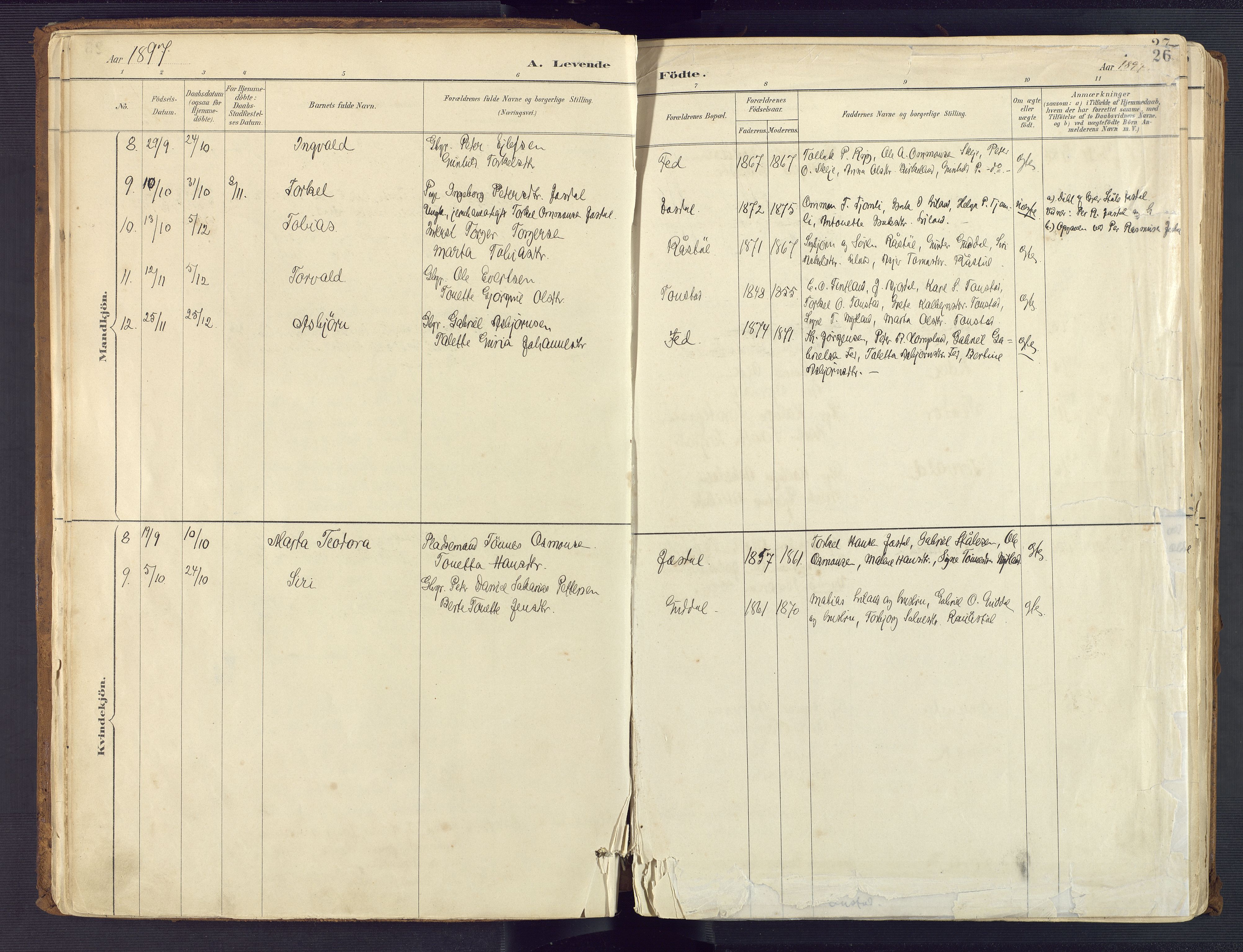 Sirdal sokneprestkontor, AV/SAK-1111-0036/F/Fa/Fab/L0004: Parish register (official) no. A 4, 1887-1919, p. 26