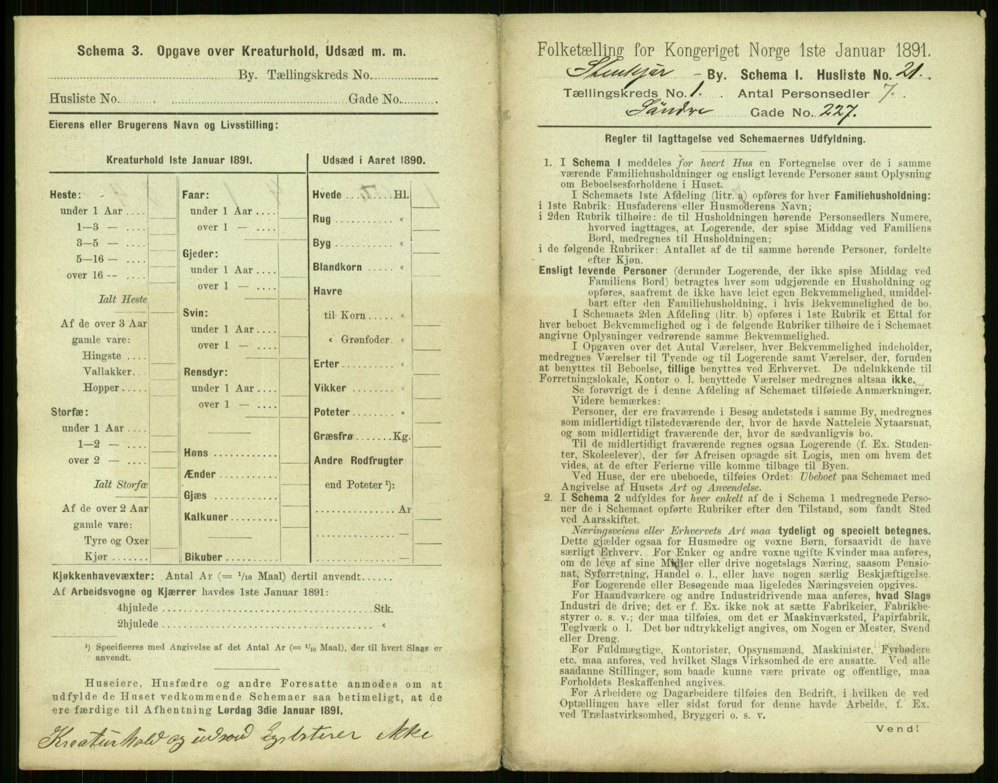 RA, 1891 census for 1702 Steinkjer, 1891, p. 60