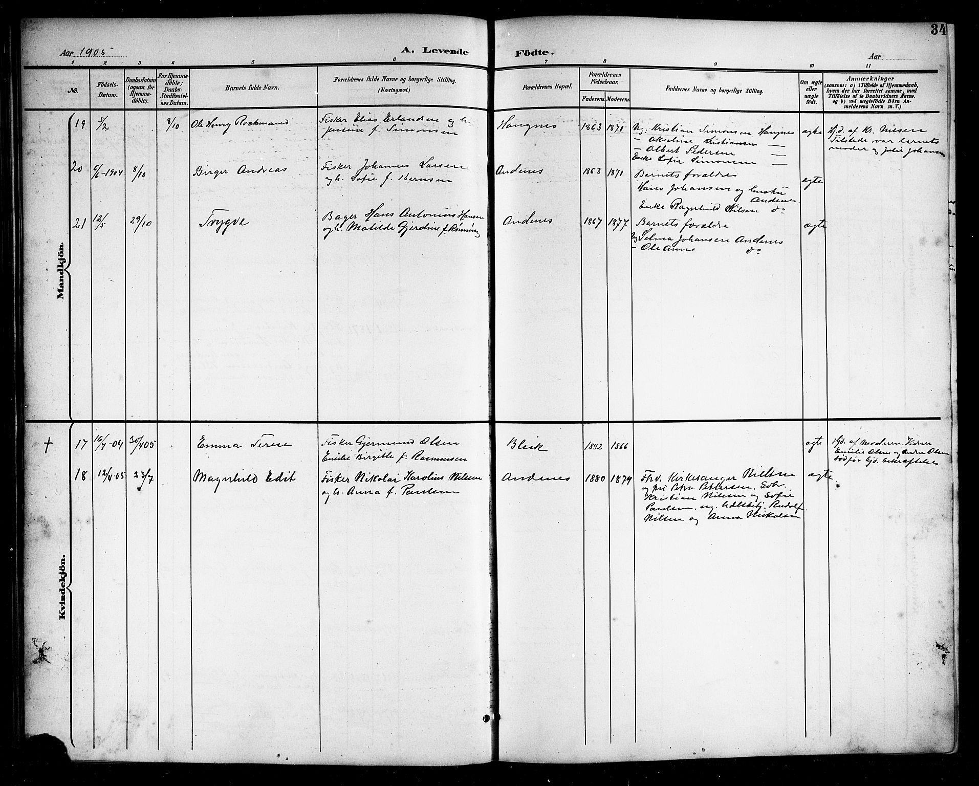 Ministerialprotokoller, klokkerbøker og fødselsregistre - Nordland, AV/SAT-A-1459/899/L1449: Parish register (copy) no. 899C04, 1900-1918, p. 34