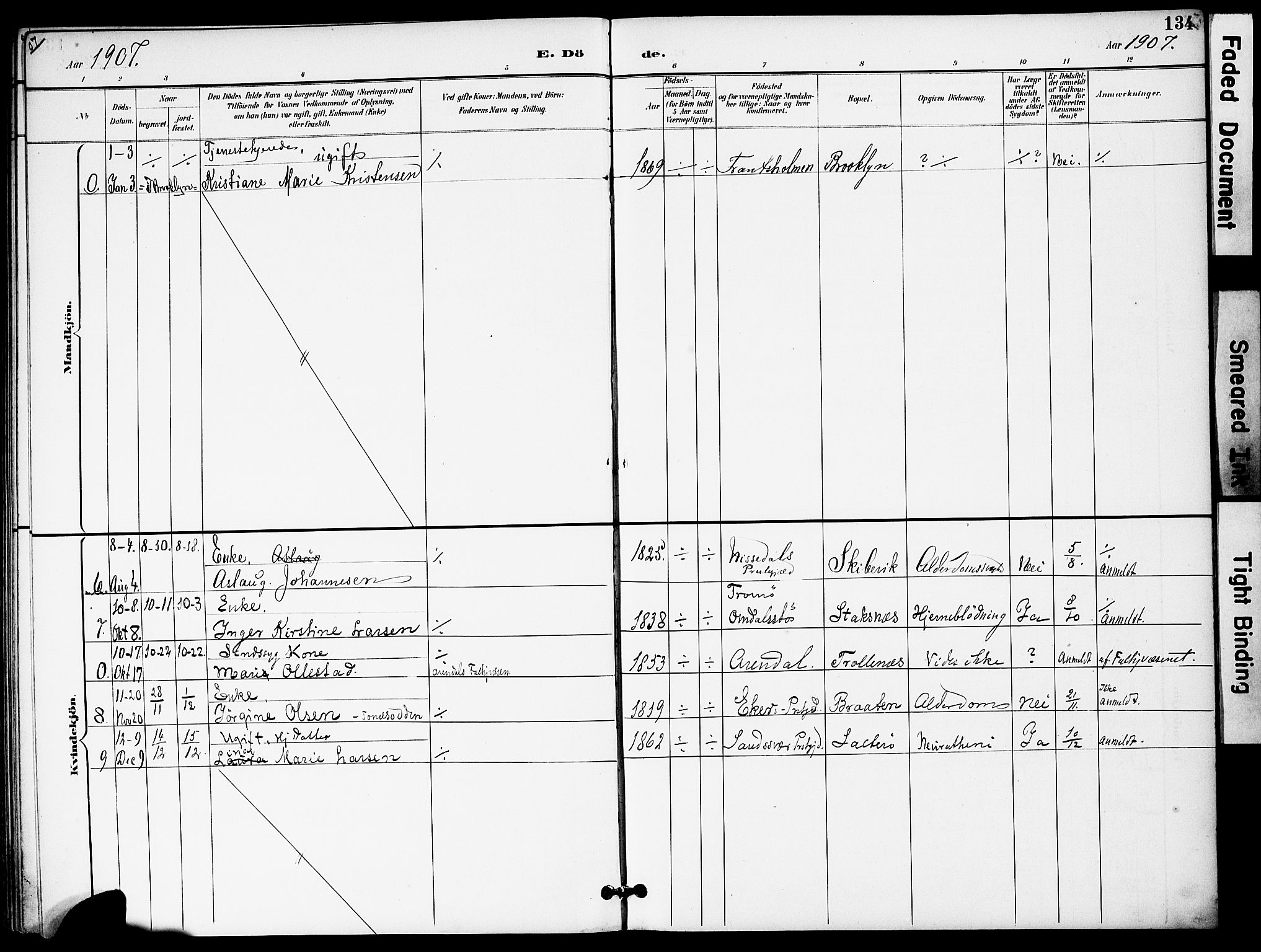 Austre Moland sokneprestkontor, AV/SAK-1111-0001/F/Fa/Fab/L0002: Parish register (official) no. A 2, 1894-1919, p. 134