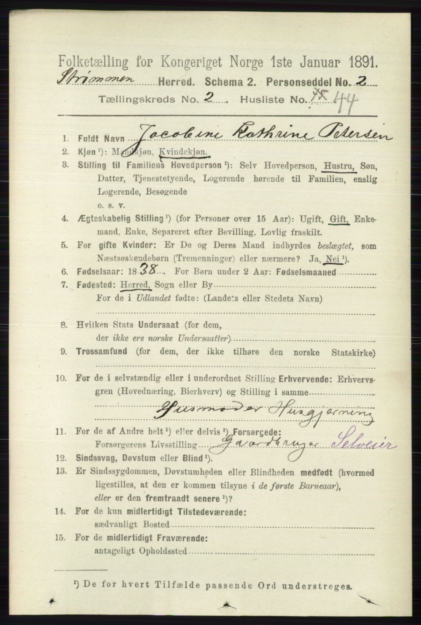 RA, 1891 census for 0711 Strømm, 1891, p. 960