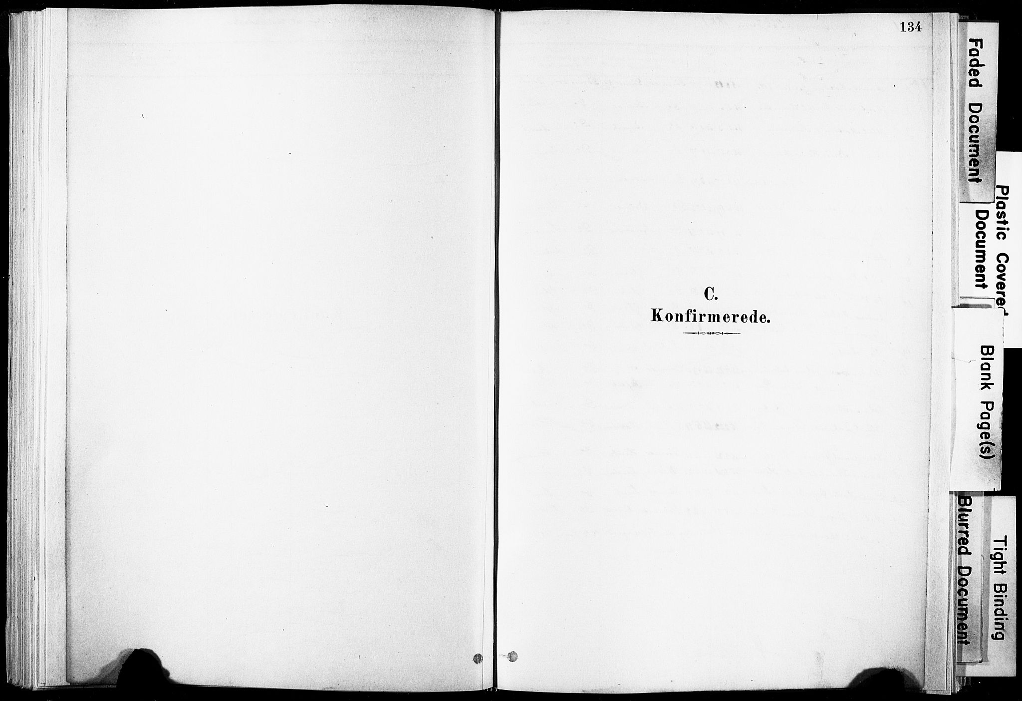 Ministerialprotokoller, klokkerbøker og fødselsregistre - Nordland, SAT/A-1459/835/L0525: Parish register (official) no. 835A03I, 1881-1910, p. 134