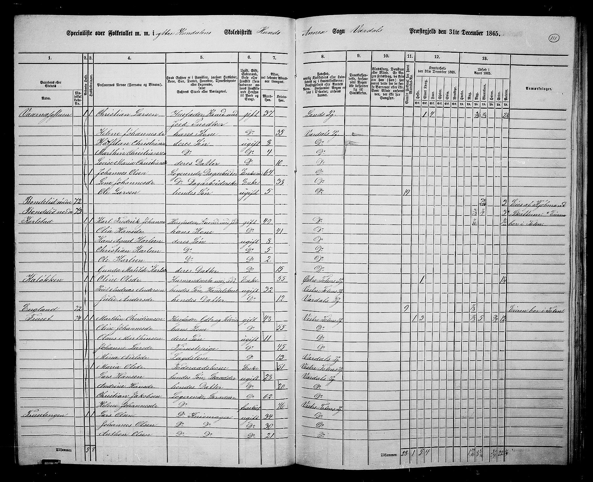 RA, 1865 census for Vardal/Vardal og Hunn, 1865, p. 100