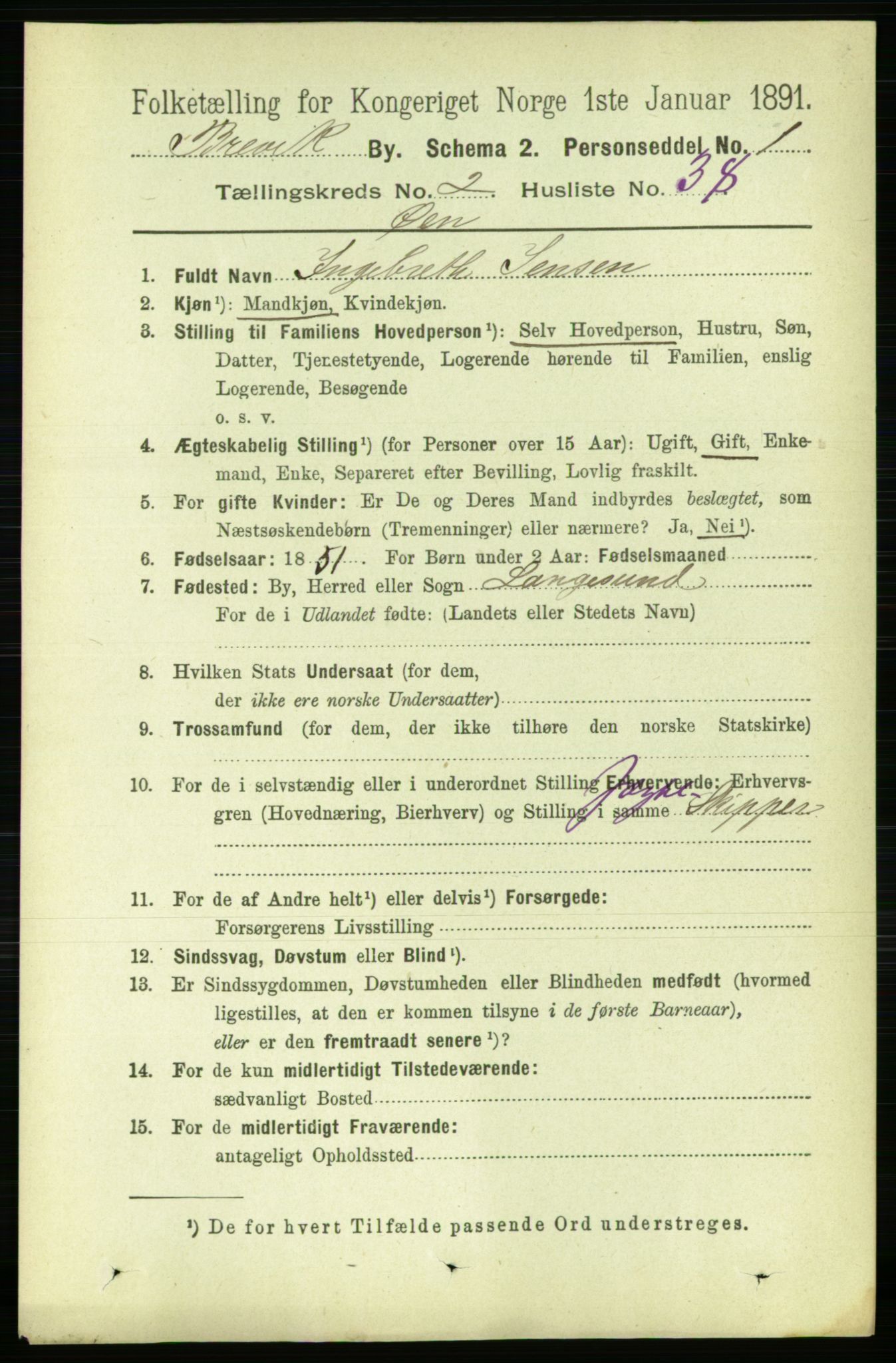RA, 1891 census for 0804 Brevik, 1891, p. 1845