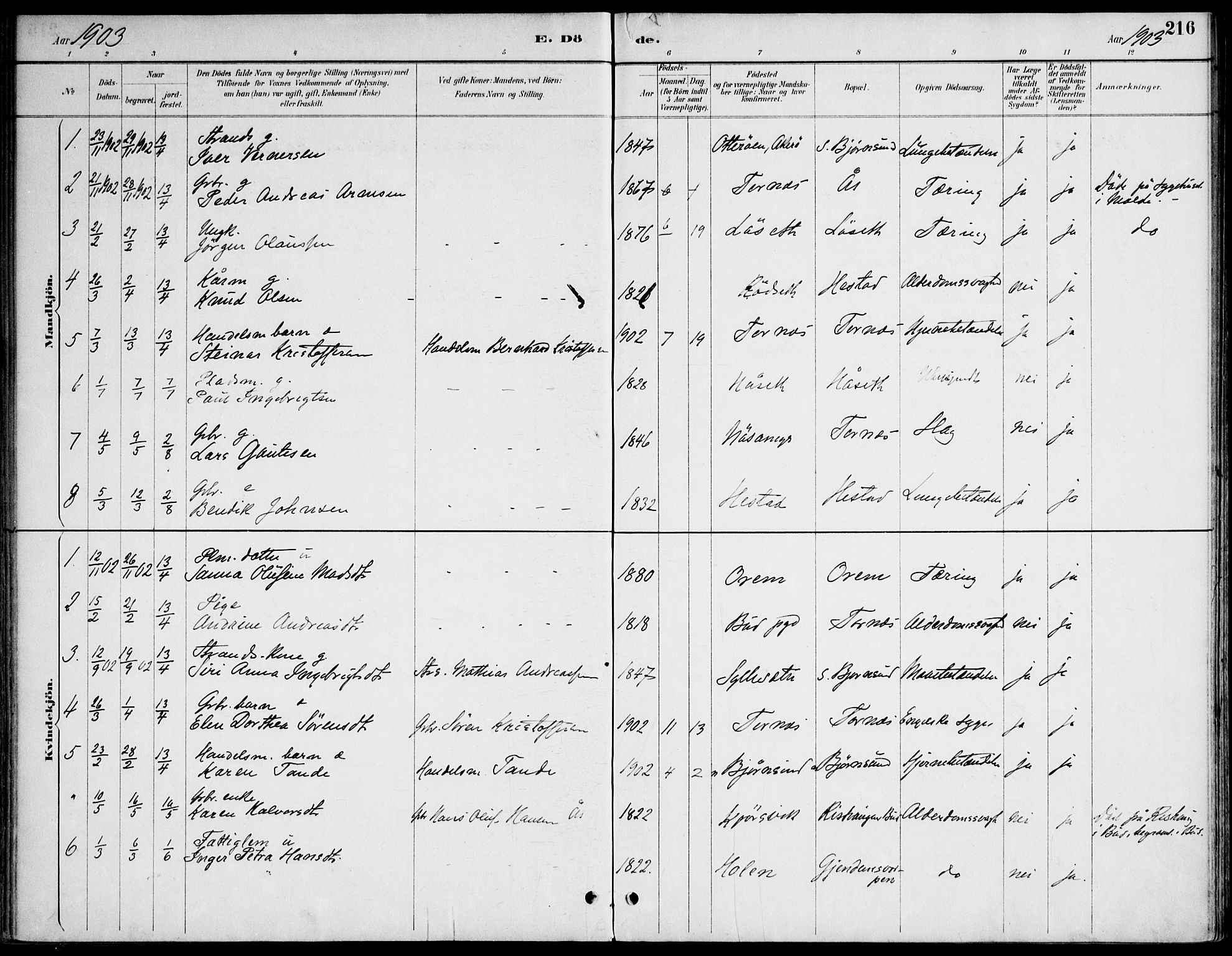 Ministerialprotokoller, klokkerbøker og fødselsregistre - Møre og Romsdal, AV/SAT-A-1454/565/L0750: Parish register (official) no. 565A04, 1887-1905, p. 216