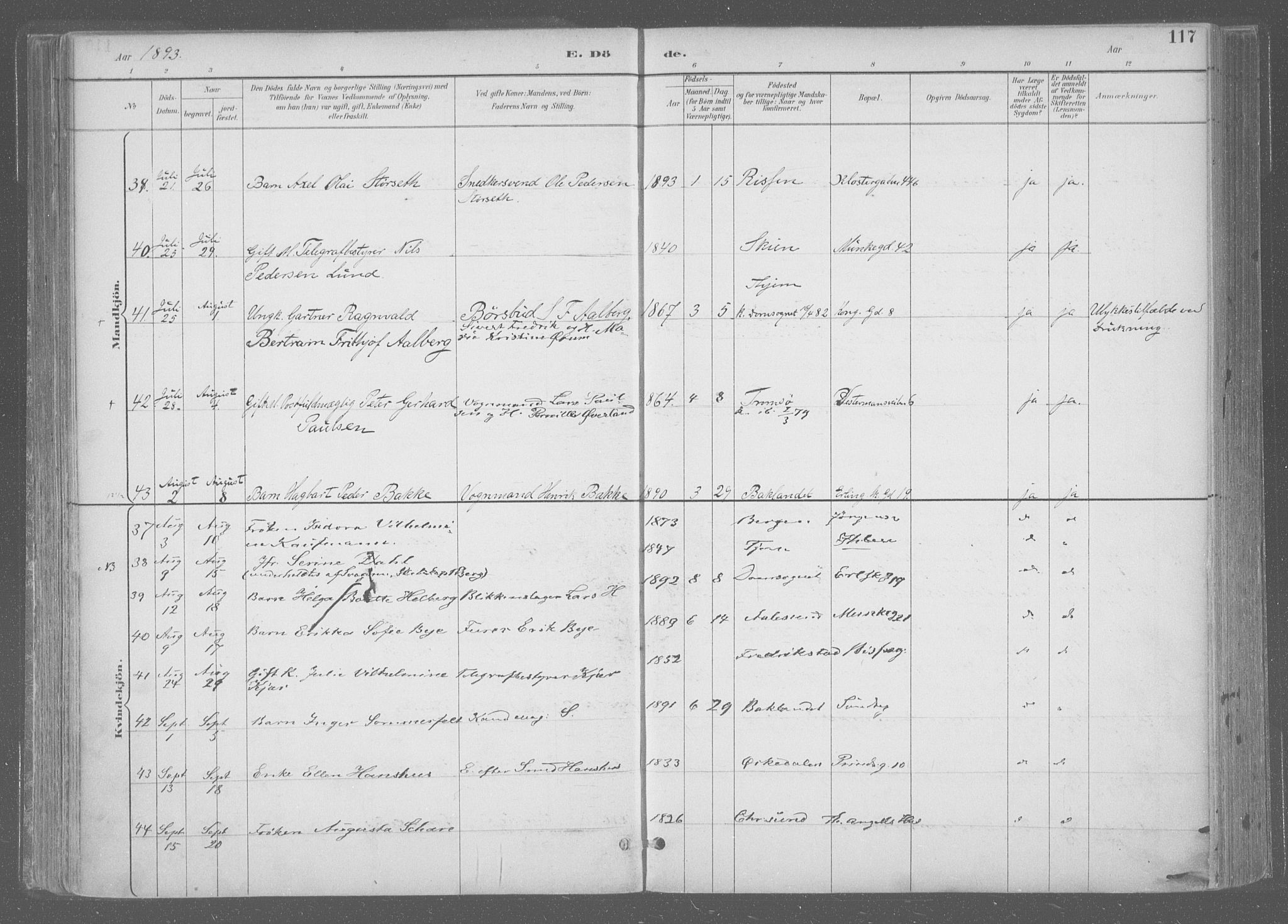 Ministerialprotokoller, klokkerbøker og fødselsregistre - Sør-Trøndelag, AV/SAT-A-1456/601/L0064: Parish register (official) no. 601A31, 1891-1911, p. 117