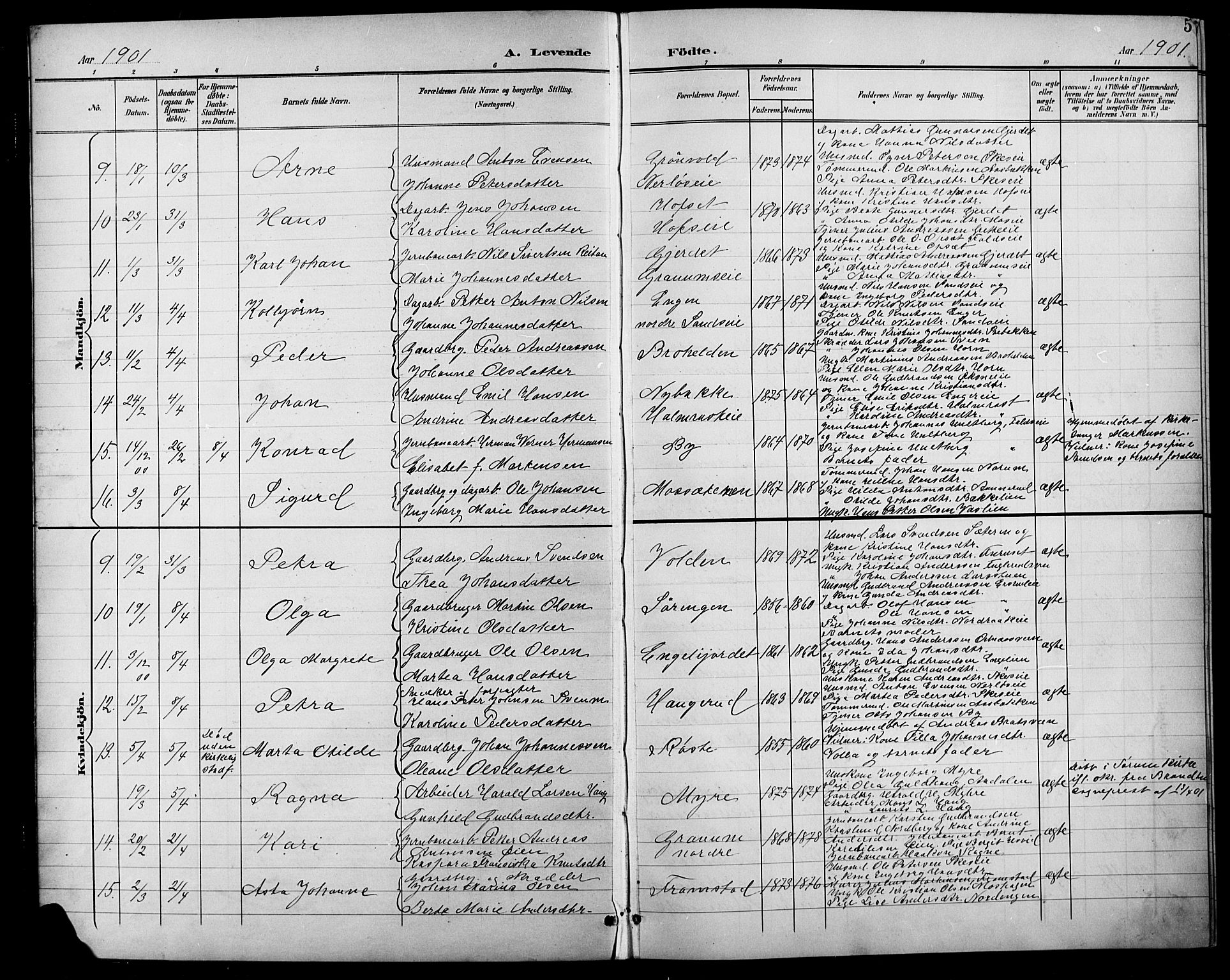 Søndre Land prestekontor, SAH/PREST-122/L/L0004: Parish register (copy) no. 4, 1901-1915, p. 5