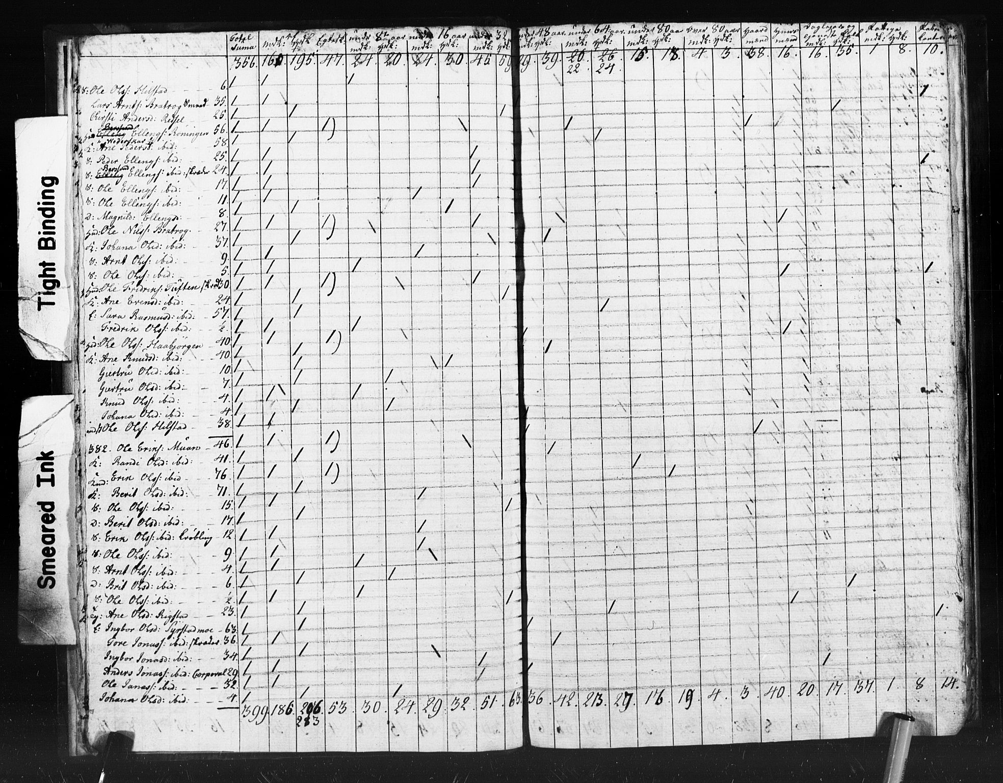 SAT, 1815 Census for Meldal parish, 1815, p. 12