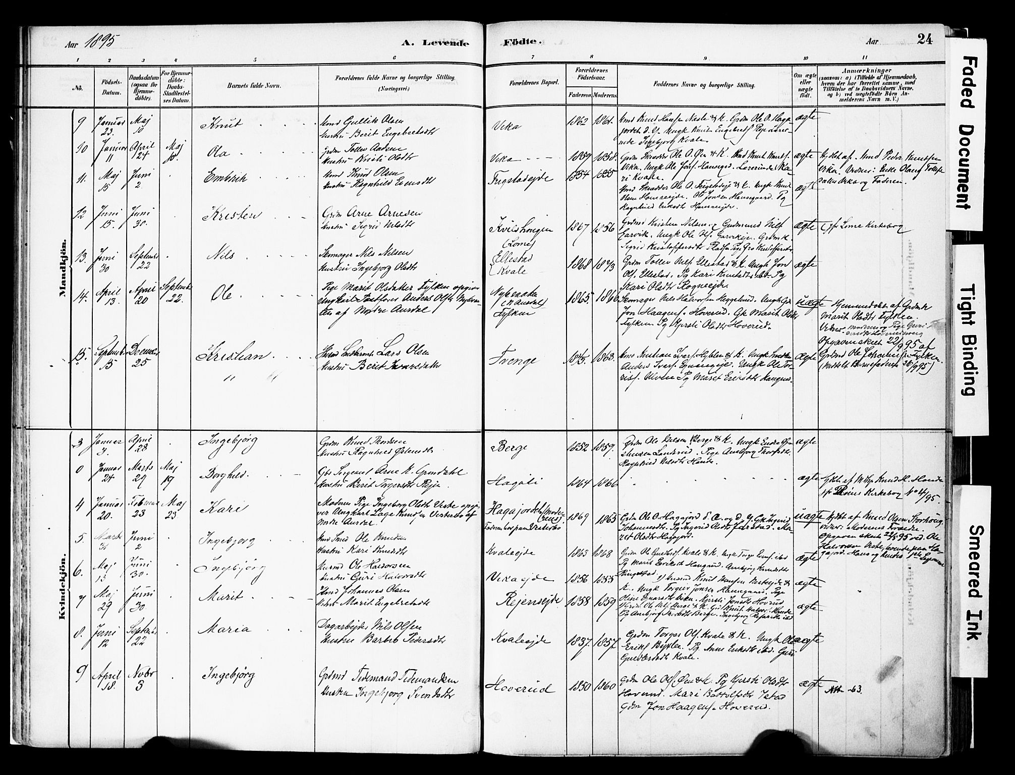 Vestre Slidre prestekontor, SAH/PREST-136/H/Ha/Haa/L0004: Parish register (official) no. 4, 1881-1911, p. 24