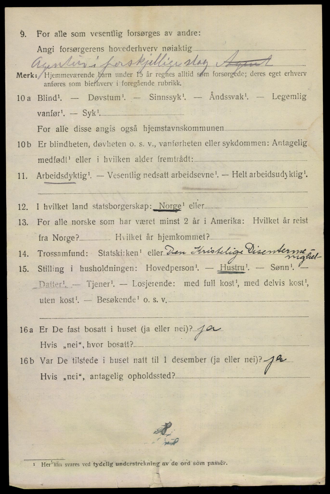 SAKO, 1920 census for Skien, 1920, p. 29611