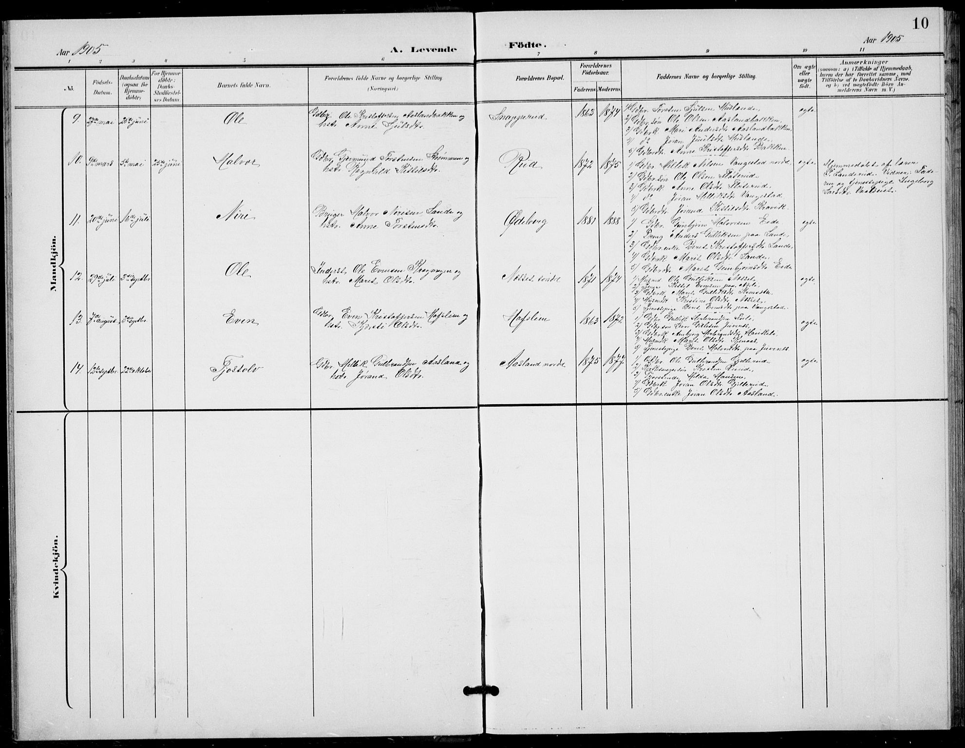 Flesberg kirkebøker, AV/SAKO-A-18/G/Ga/L0005: Parish register (copy) no. I 5, 1899-1908, p. 10