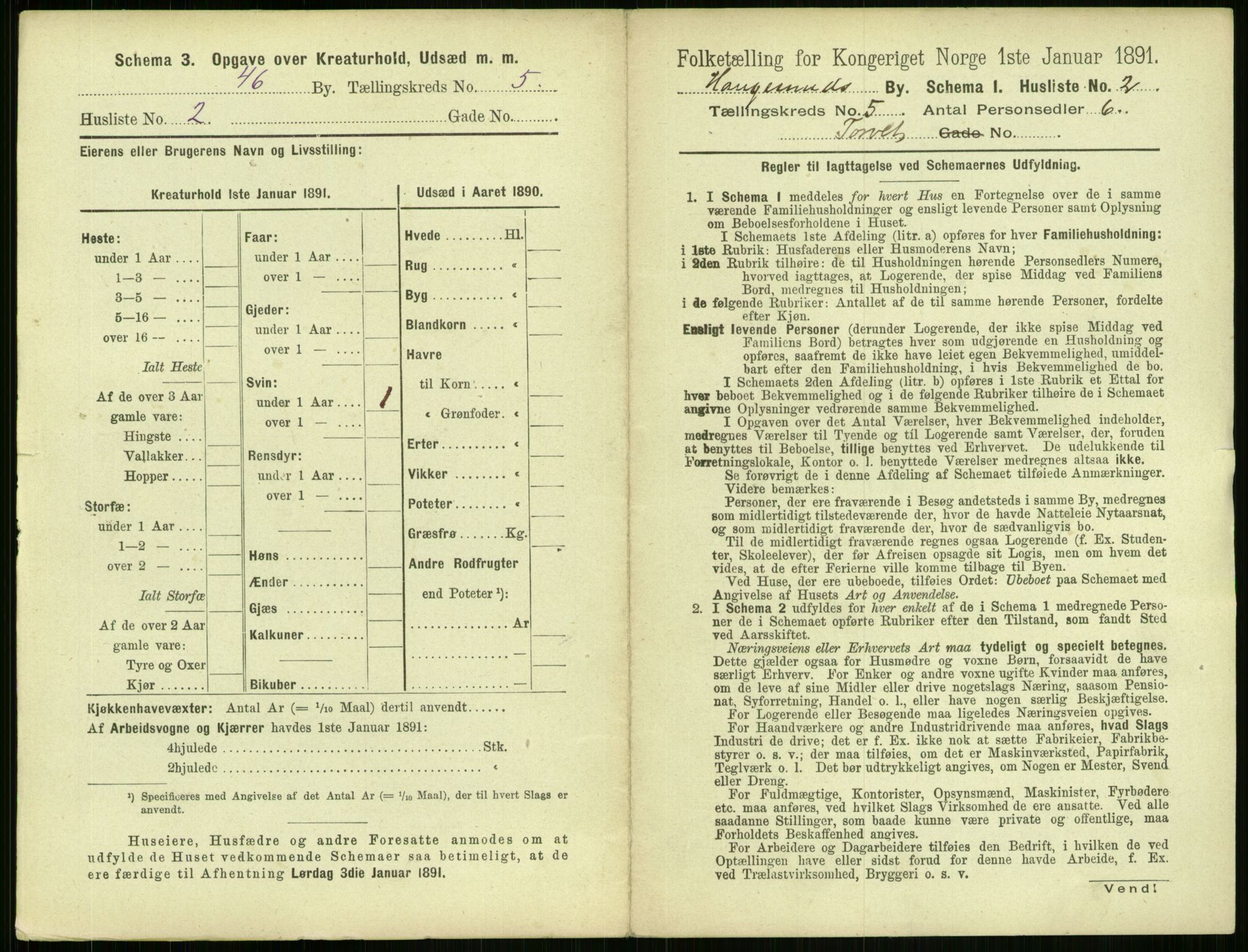 RA, 1891 census for 1106 Haugesund, 1891, p. 323