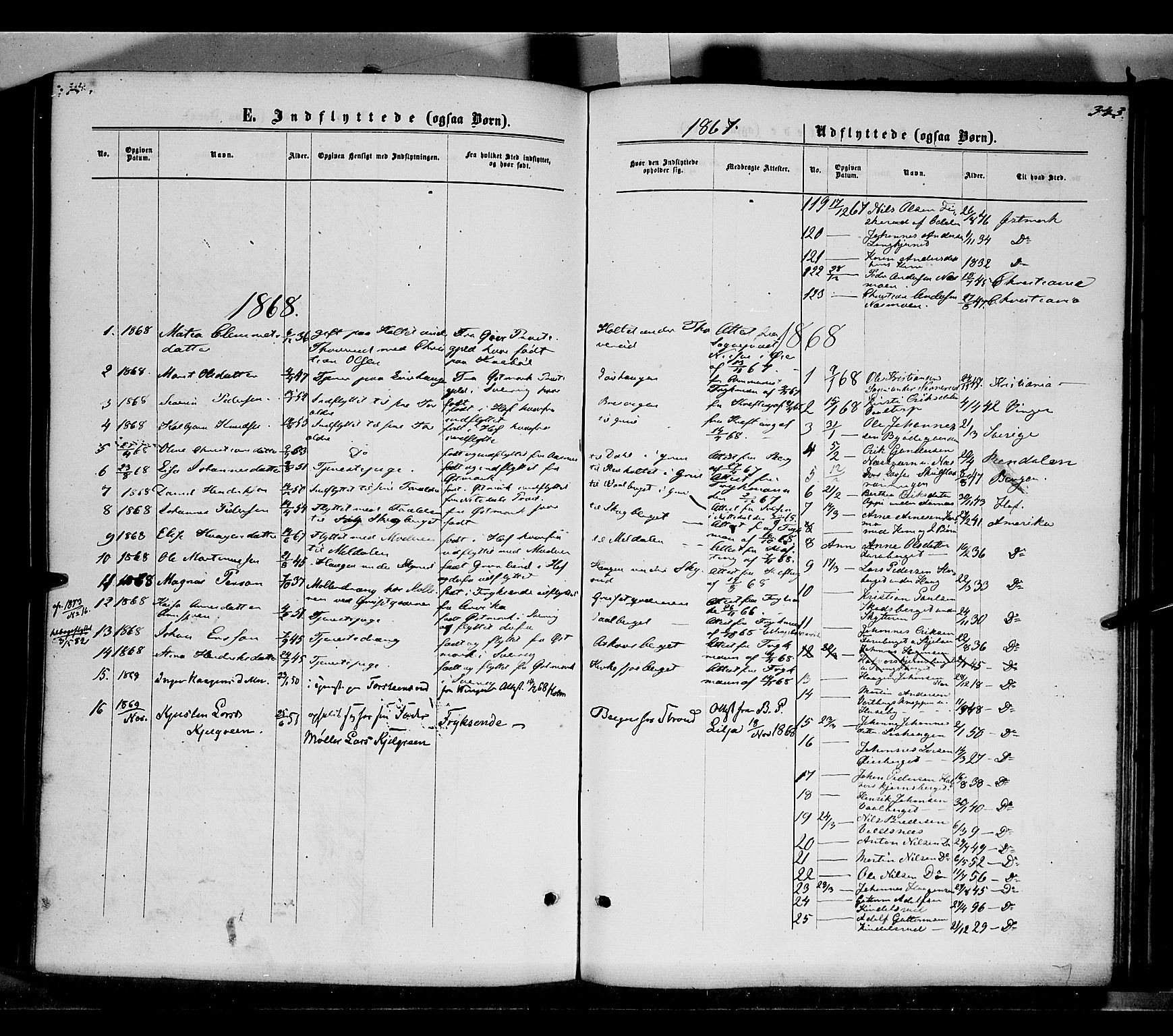 Grue prestekontor, AV/SAH-PREST-036/H/Ha/Haa/L0010: Parish register (official) no. 10, 1864-1873, p. 343