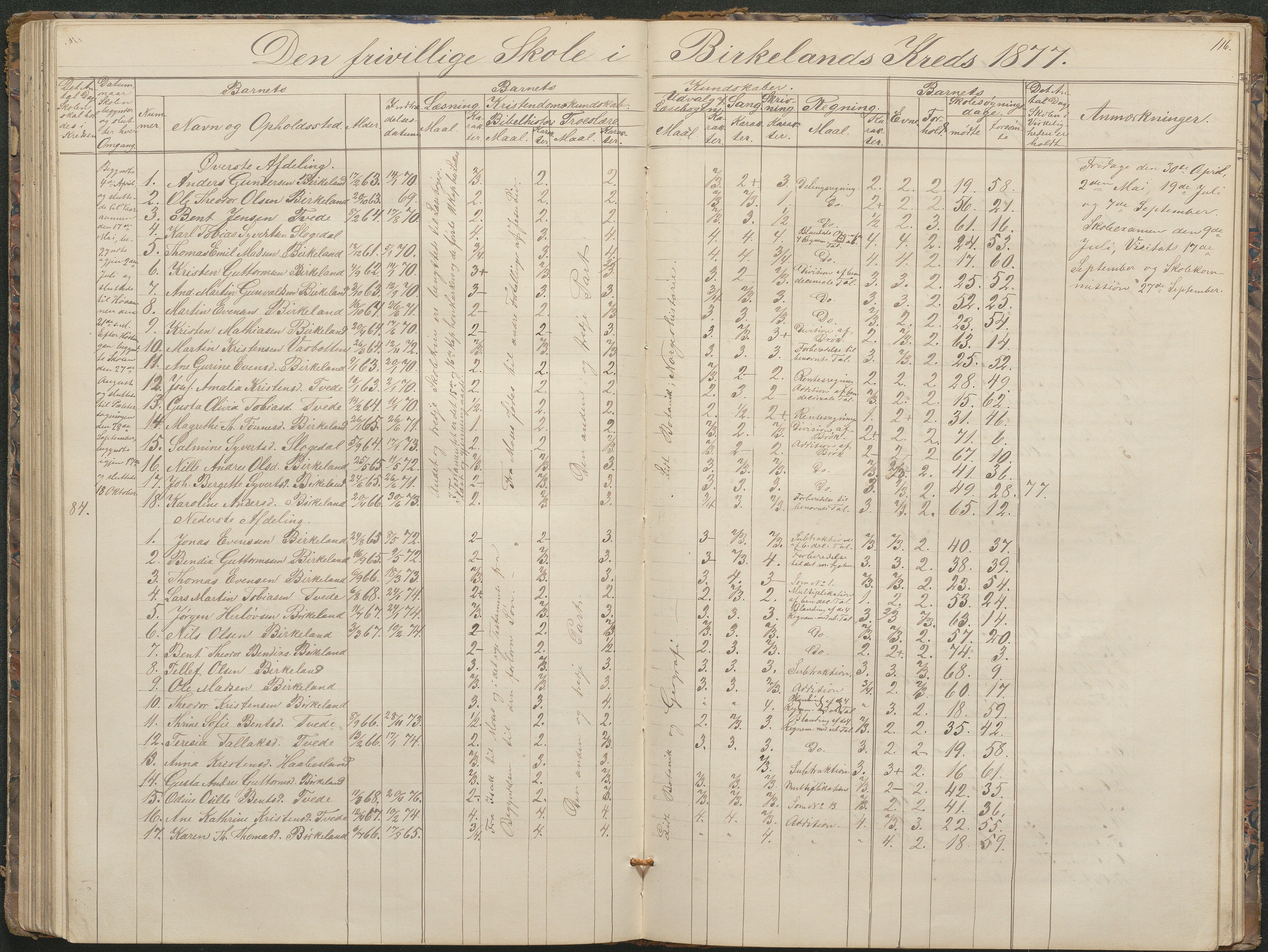 Birkenes kommune, Birkenes krets/Birkeland folkeskole frem til 1991, AAKS/KA0928-550a_91/F02/L0001: Skoleprotokoll, 1862-1896, p. 116