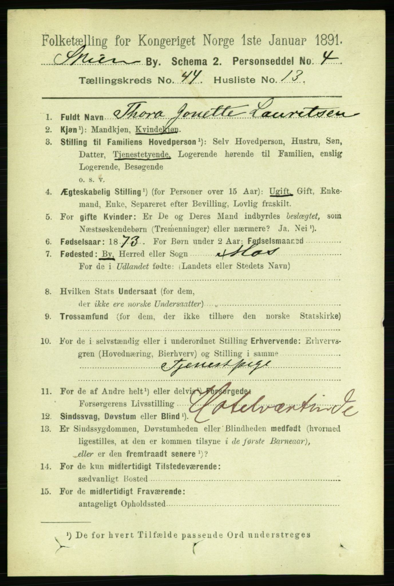 RA, 1891 census for 0806 Skien, 1891, p. 8919