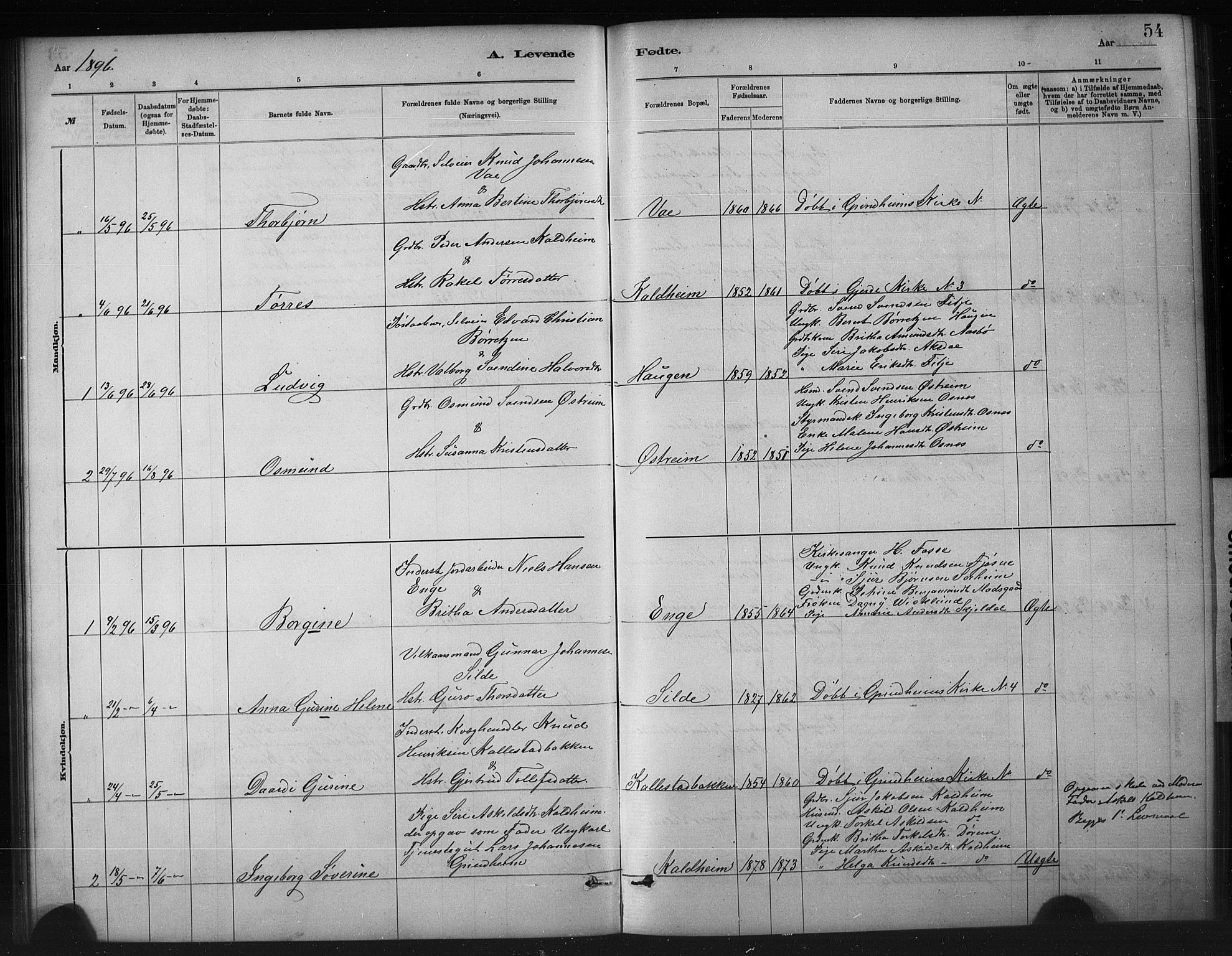 Etne sokneprestembete, SAB/A-75001/H/Hab: Parish register (copy) no. A 5, 1879-1896, p. 54