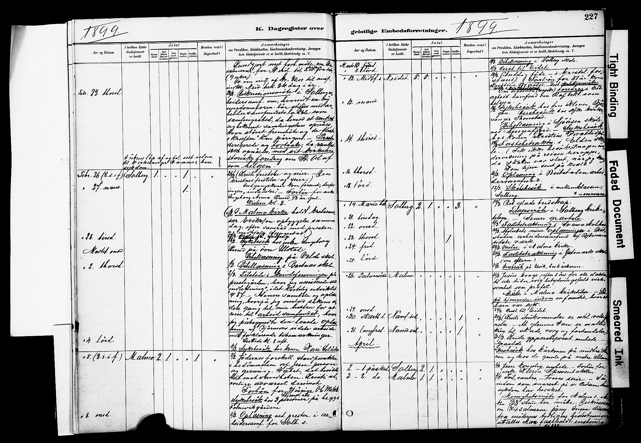 Ministerialprotokoller, klokkerbøker og fødselsregistre - Nord-Trøndelag, AV/SAT-A-1458/741/L0396: Parish register (official) no. 741A10, 1889-1901, p. 227