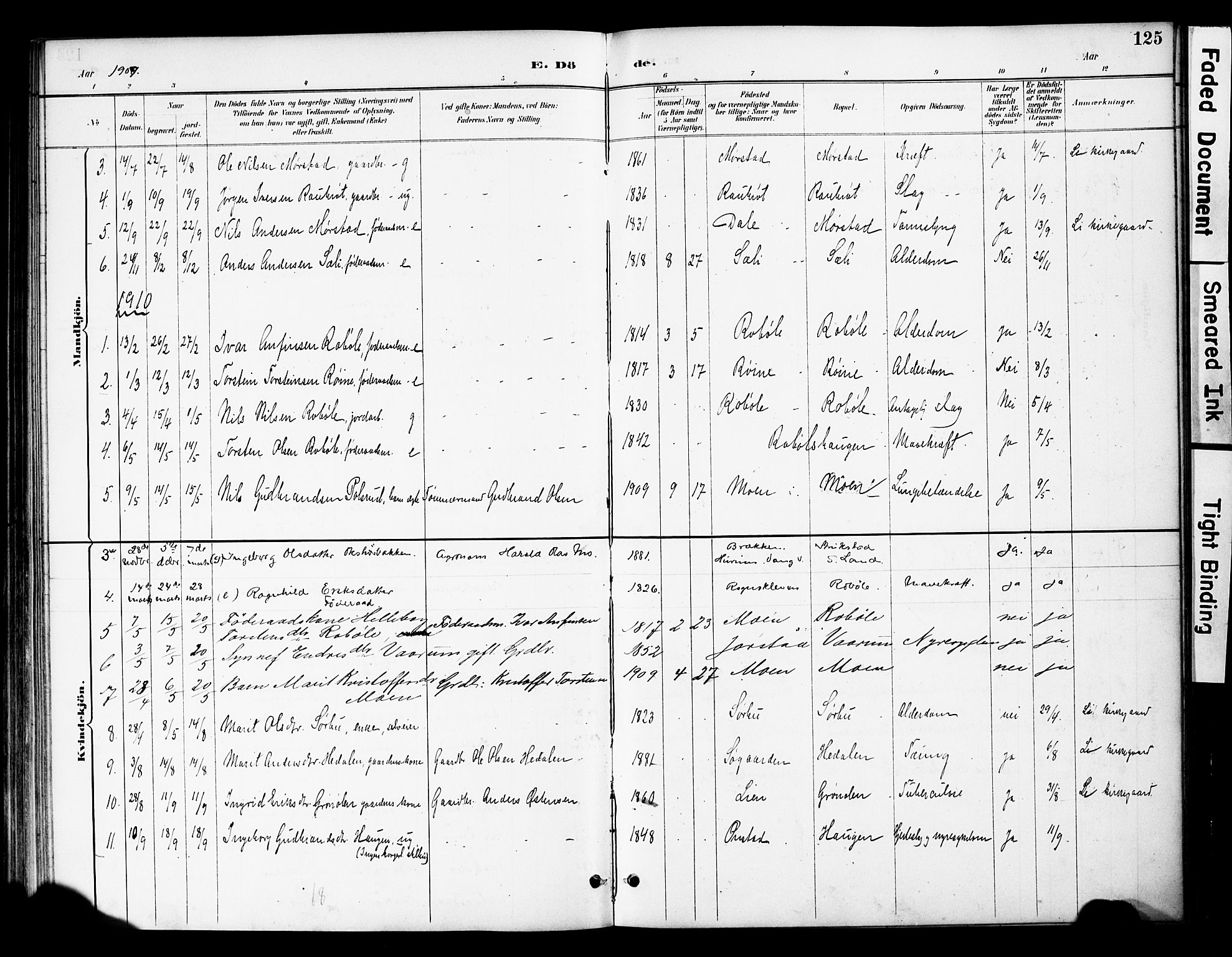 Øystre Slidre prestekontor, AV/SAH-PREST-138/H/Ha/Haa/L0004: Parish register (official) no. 4, 1887-1910, p. 125