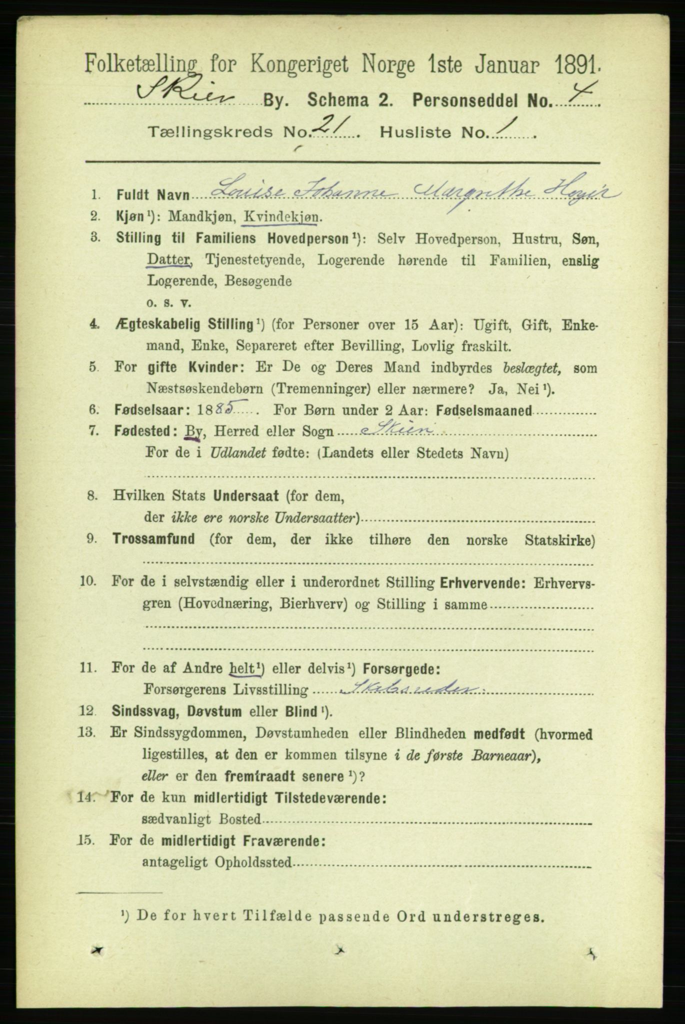 RA, 1891 census for 0806 Skien, 1891, p. 5407