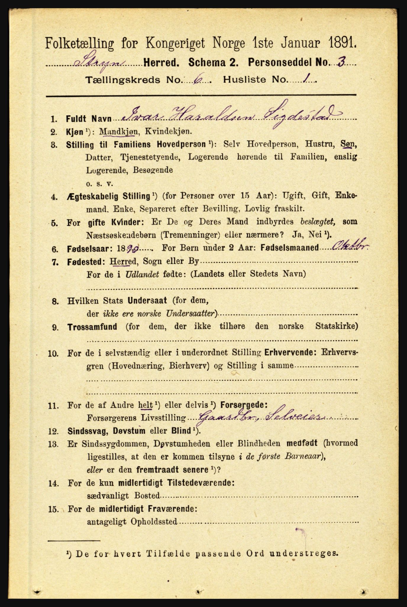 RA, 1891 census for 1448 Stryn, 1891, p. 2392