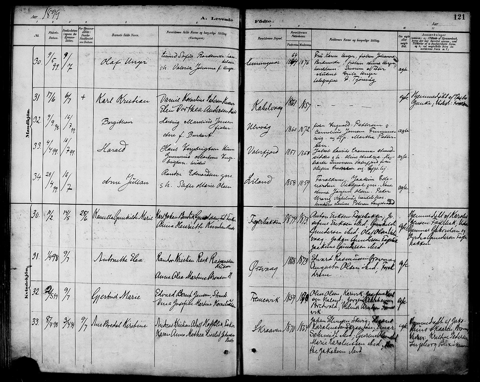 Ministerialprotokoller, klokkerbøker og fødselsregistre - Nordland, SAT/A-1459/874/L1060: Parish register (official) no. 874A04, 1890-1899, p. 121