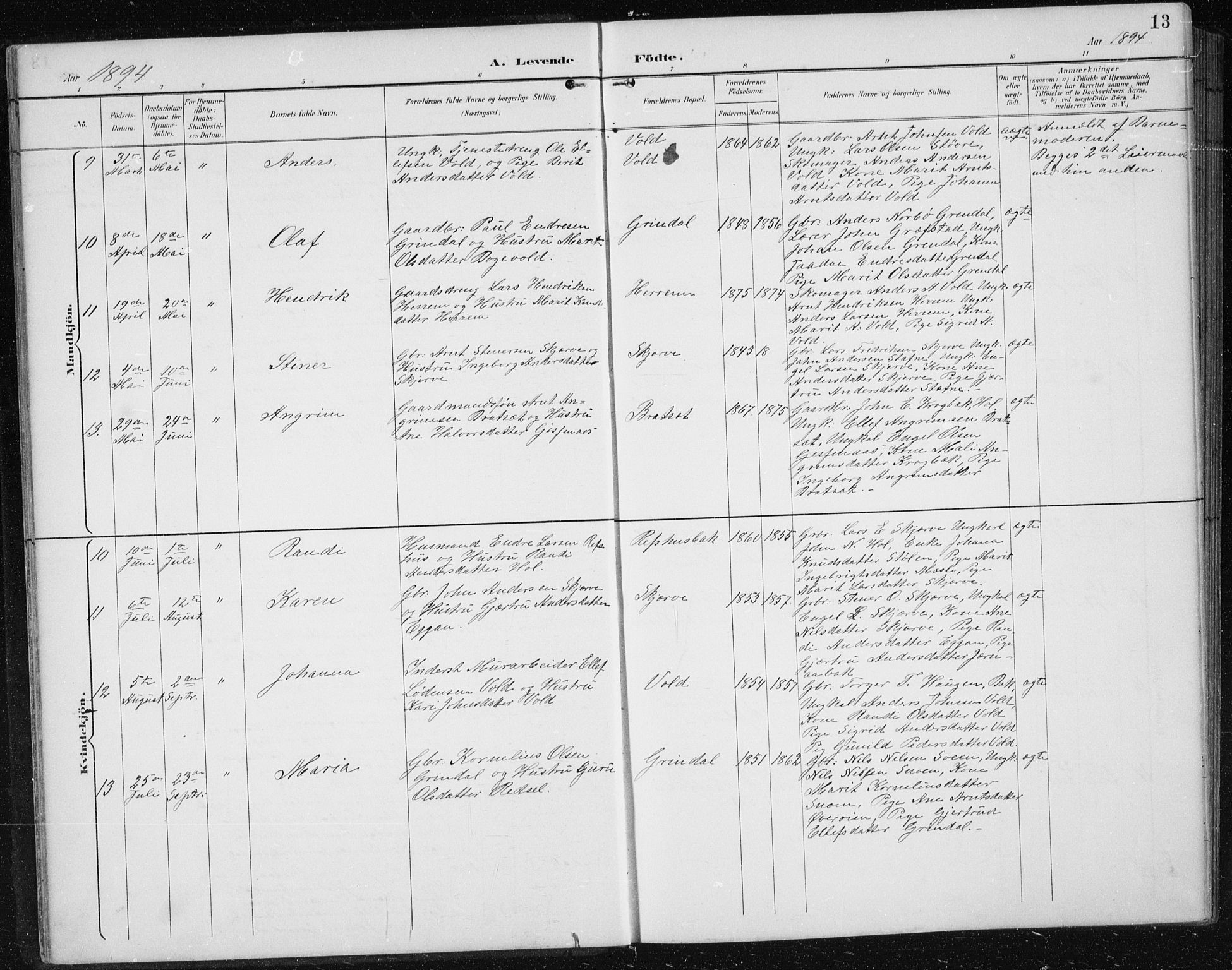 Ministerialprotokoller, klokkerbøker og fødselsregistre - Sør-Trøndelag, AV/SAT-A-1456/674/L0876: Parish register (copy) no. 674C03, 1892-1912, p. 13