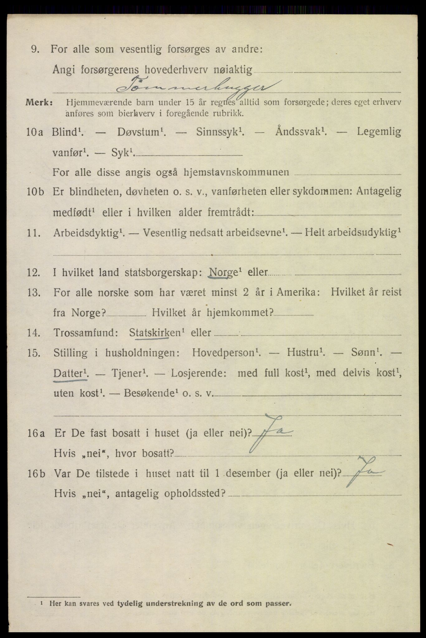 SAH, 1920 census for Trysil, 1920, p. 12596