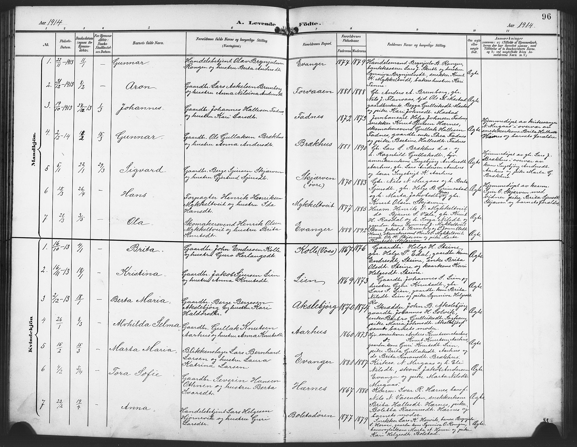 Evanger sokneprestembete, AV/SAB-A-99924: Parish register (copy) no. A 5, 1897-1917, p. 96