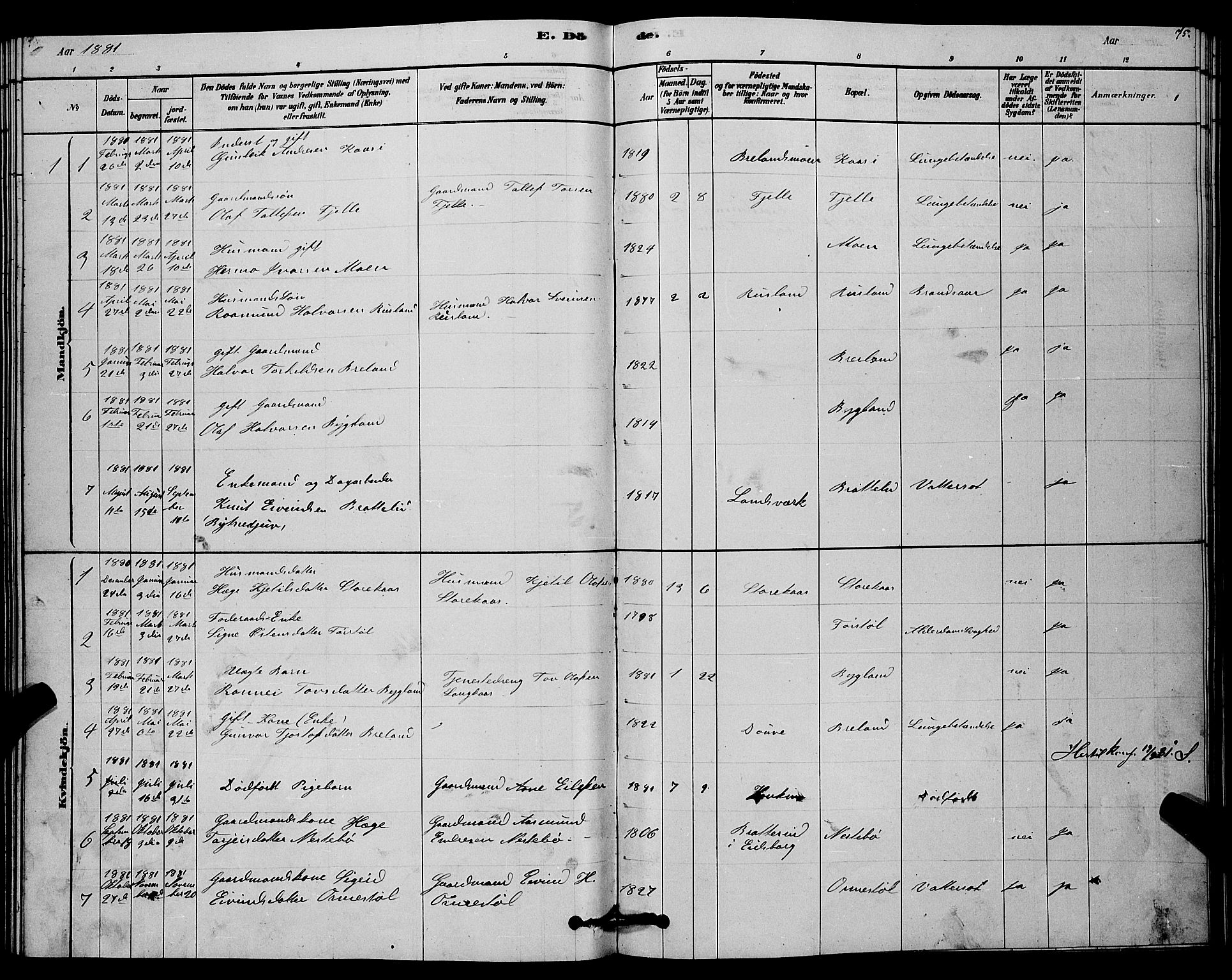 Lårdal kirkebøker, SAKO/A-284/G/Gc/L0003: Parish register (copy) no. III 3, 1878-1890, p. 75