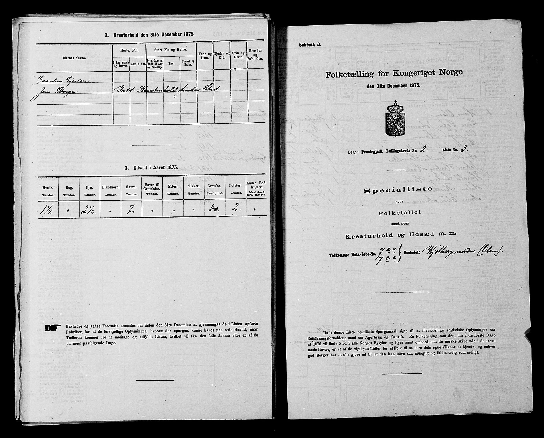 RA, 1875 census for 0113P Borge, 1875, p. 381