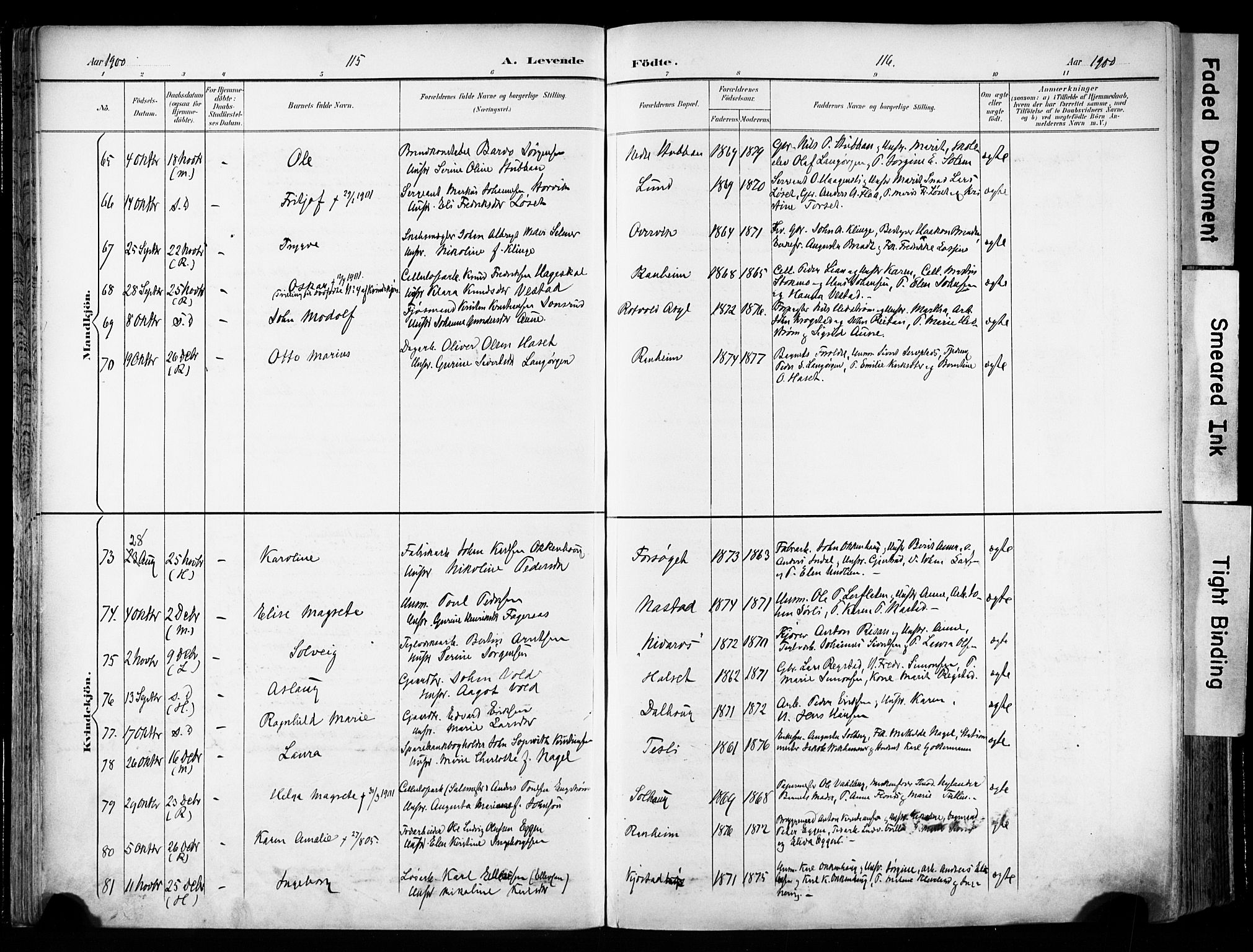Ministerialprotokoller, klokkerbøker og fødselsregistre - Sør-Trøndelag, SAT/A-1456/606/L0301: Parish register (official) no. 606A16, 1894-1907, p. 115-116