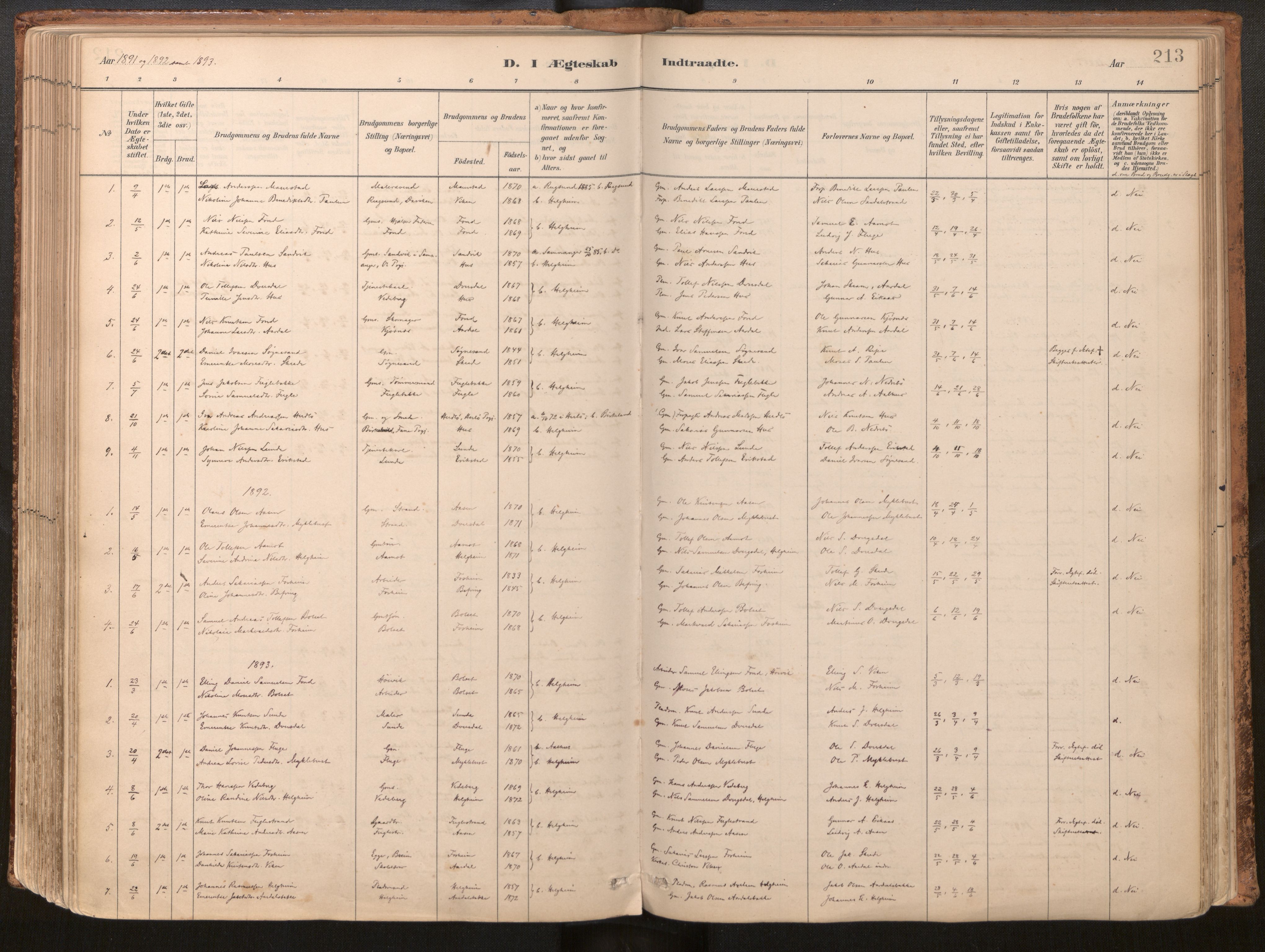 Jølster sokneprestembete, SAB/A-80701/H/Haa/Haac/L0001: Parish register (official) no. C 1, 1882-1928, p. 213