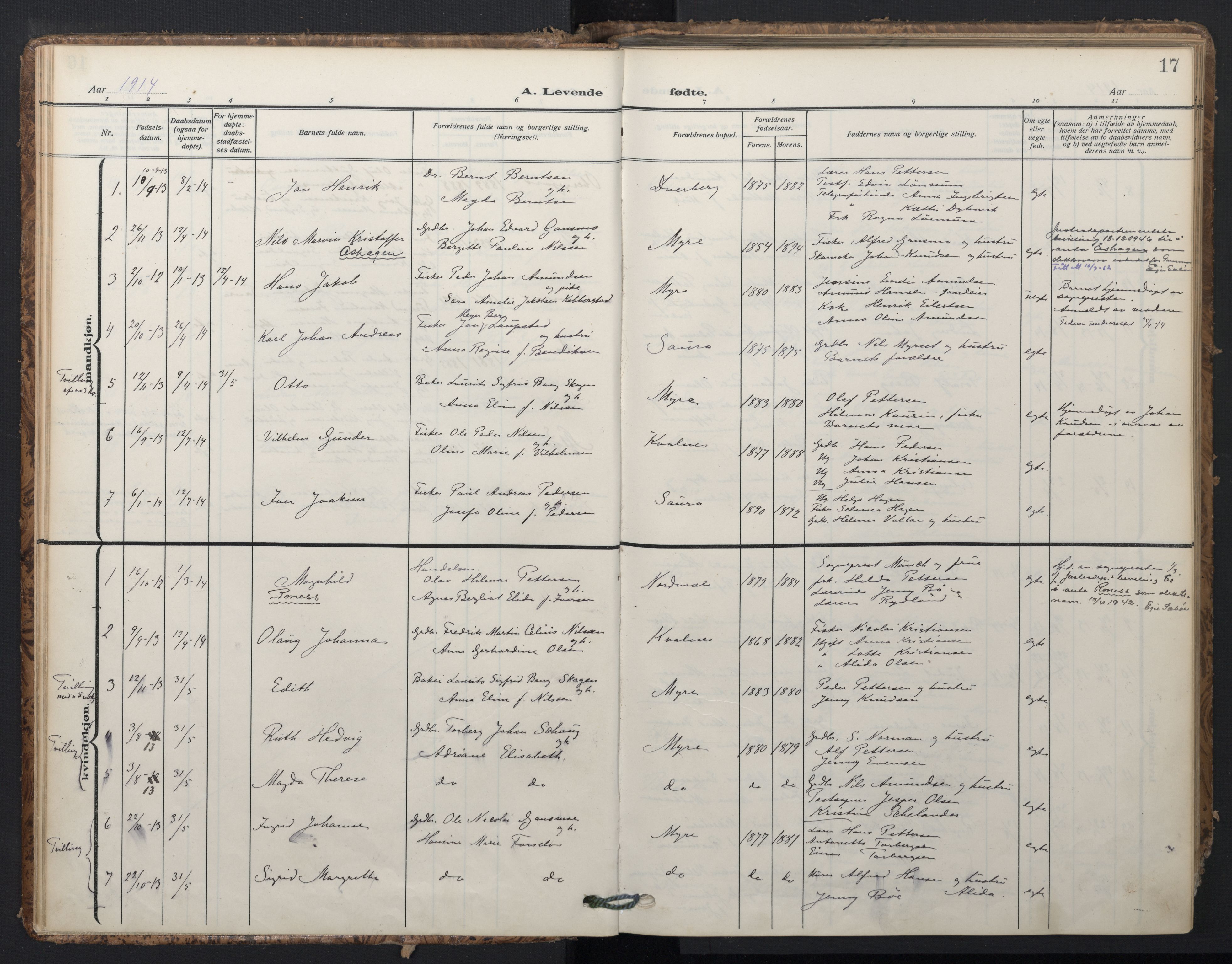Ministerialprotokoller, klokkerbøker og fødselsregistre - Nordland, SAT/A-1459/897/L1401: Parish register (official) no. 897A08, 1909-1921, p. 17