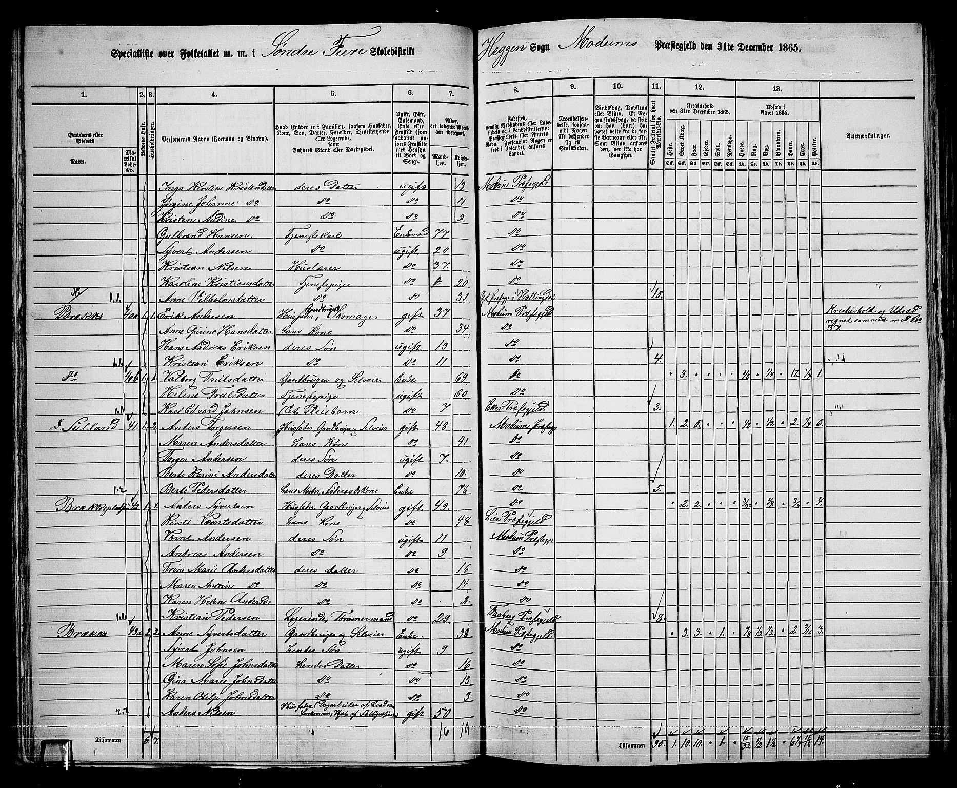 RA, 1865 census for Modum, 1865, p. 41