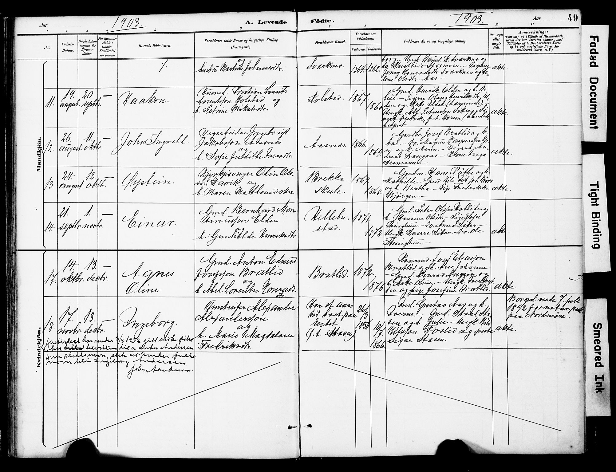 Ministerialprotokoller, klokkerbøker og fødselsregistre - Nord-Trøndelag, AV/SAT-A-1458/742/L0409: Parish register (official) no. 742A02, 1891-1905, p. 49