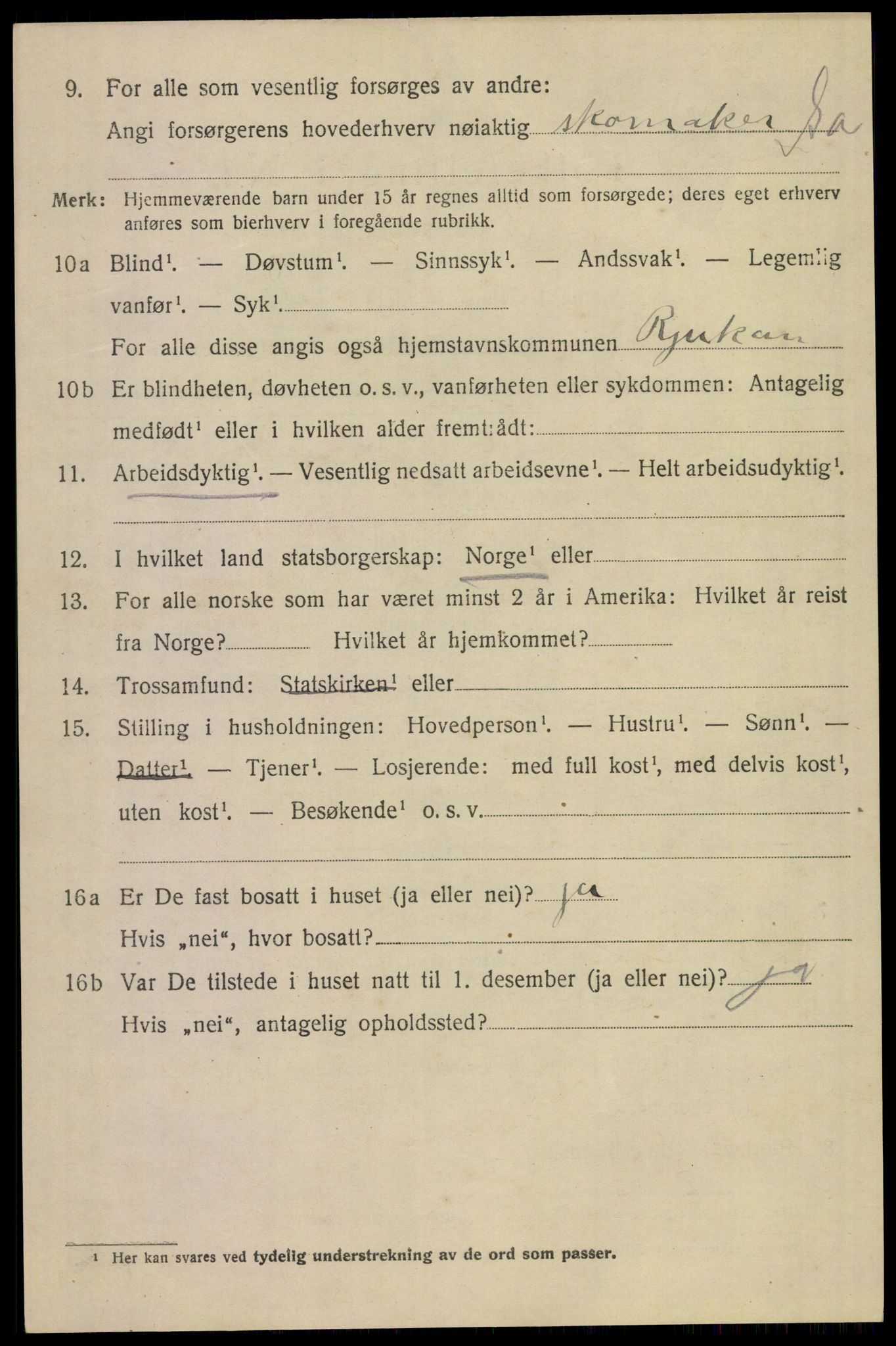 SAKO, 1920 census for Tinn, 1920, p. 22895